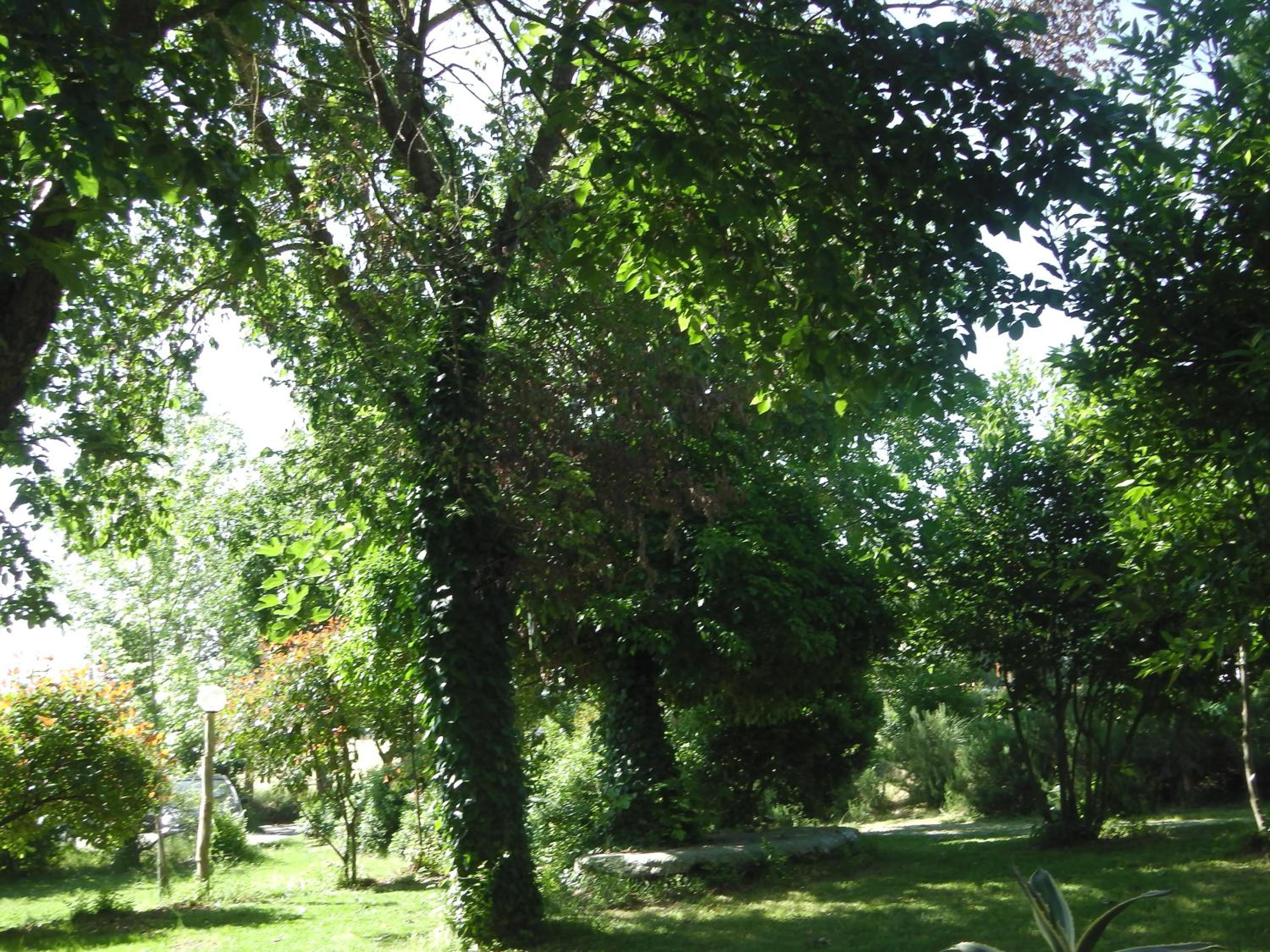 La Fratta Art - House, photo 13