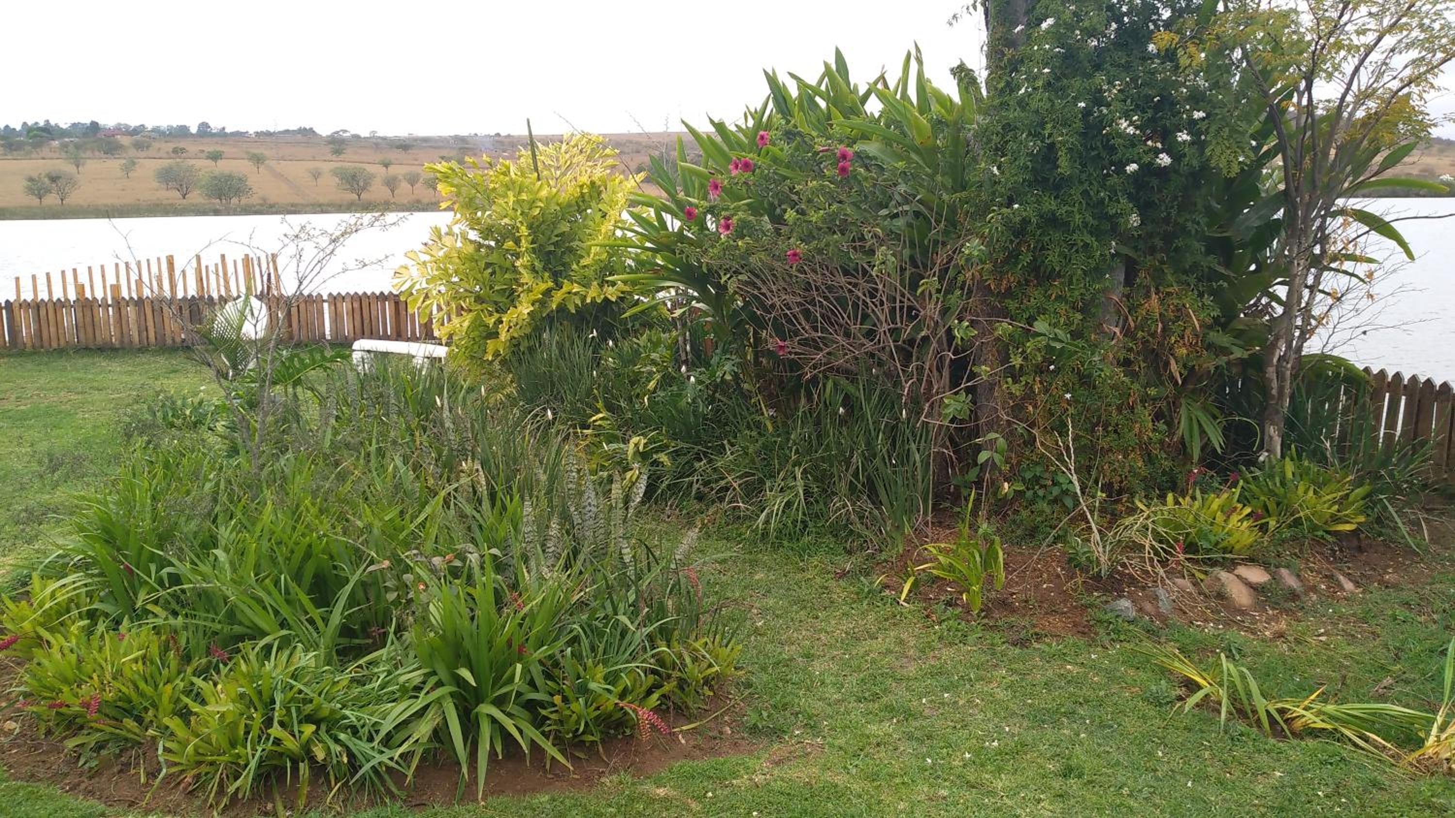 Photo 201