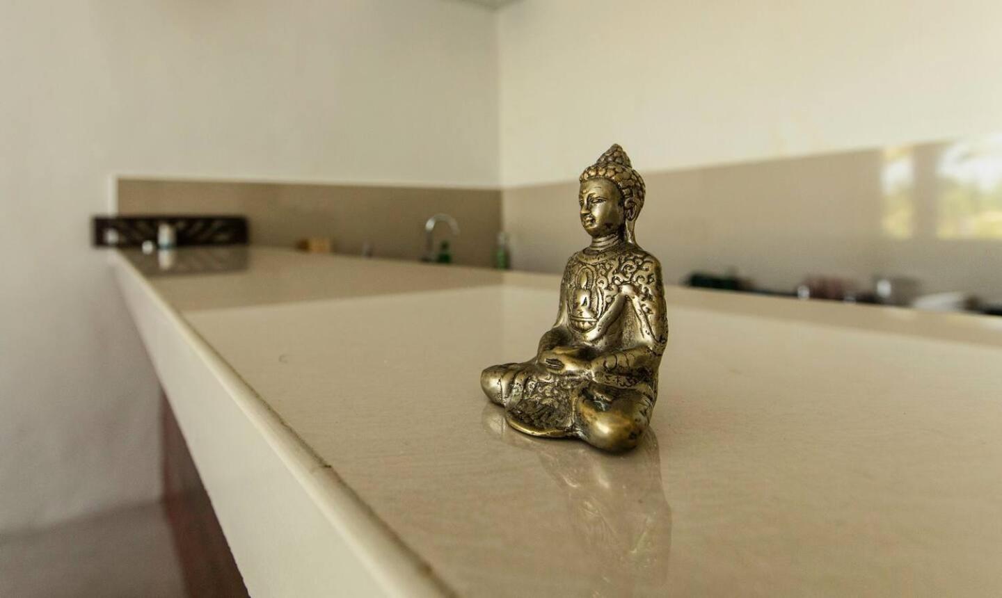 Peaceful Villa Canggu view 5