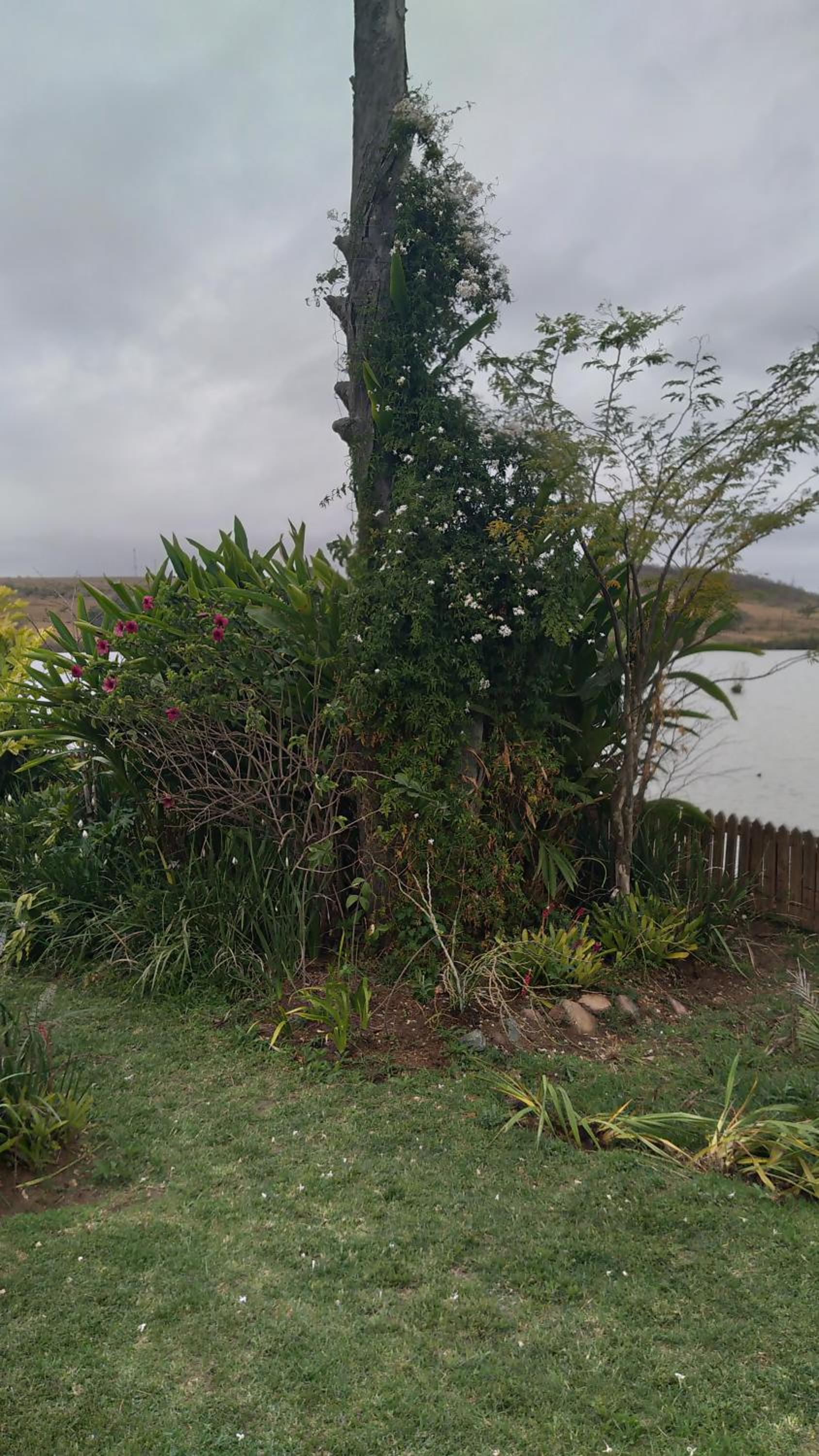 Photo 199