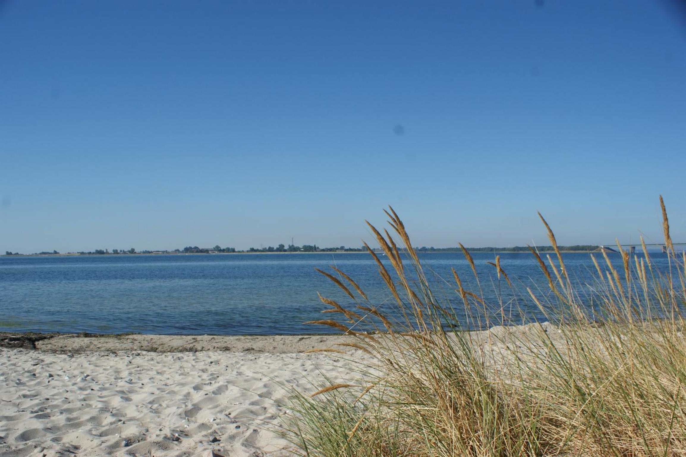 Fehmarn-OstseeferienStrandresidenz Vogelflug 14313 view 5