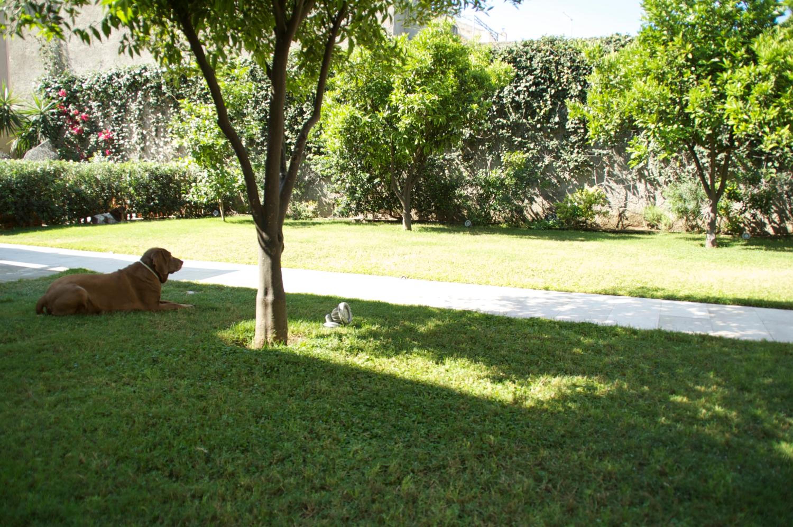 Photo 22