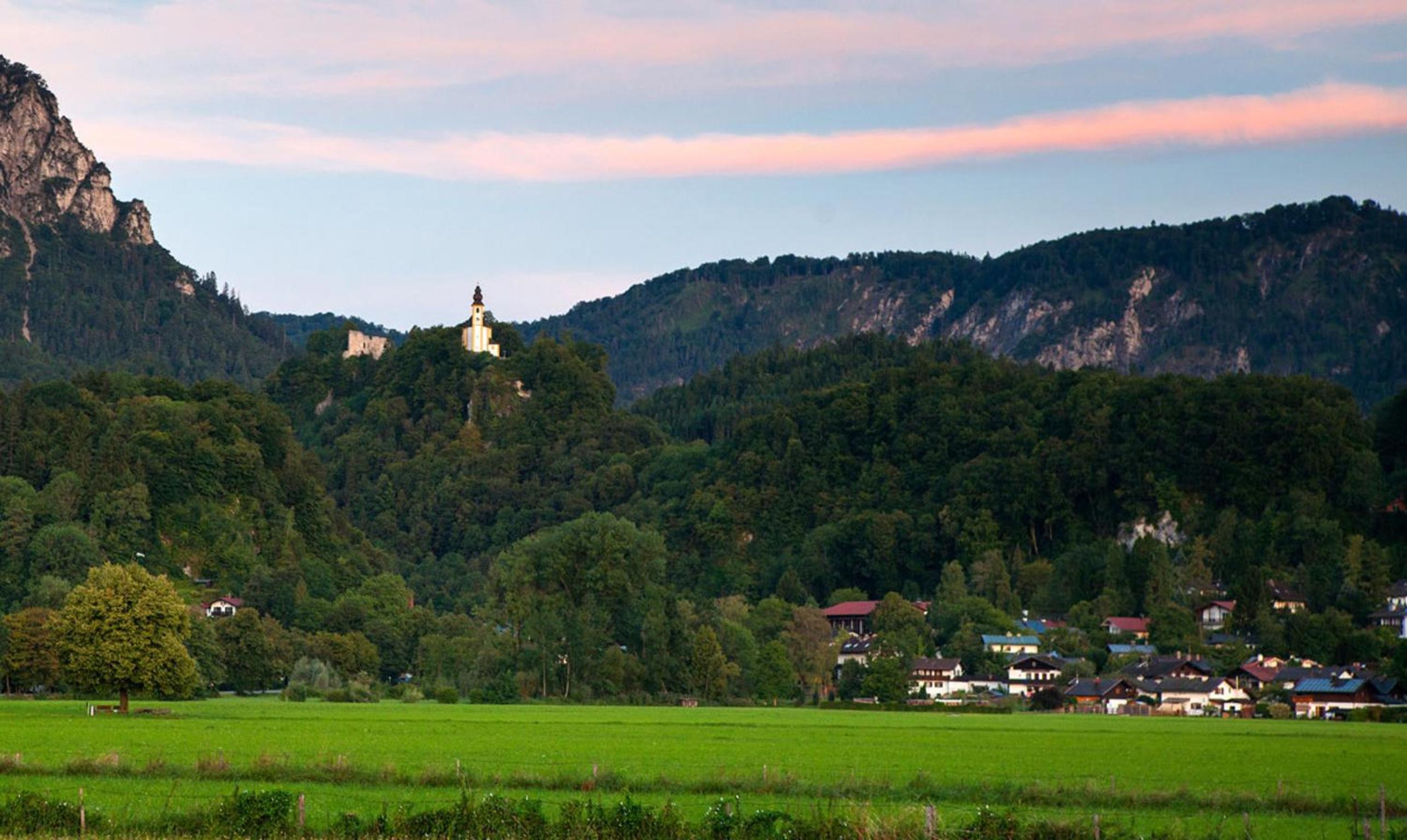 Alpenschwänchen 1
