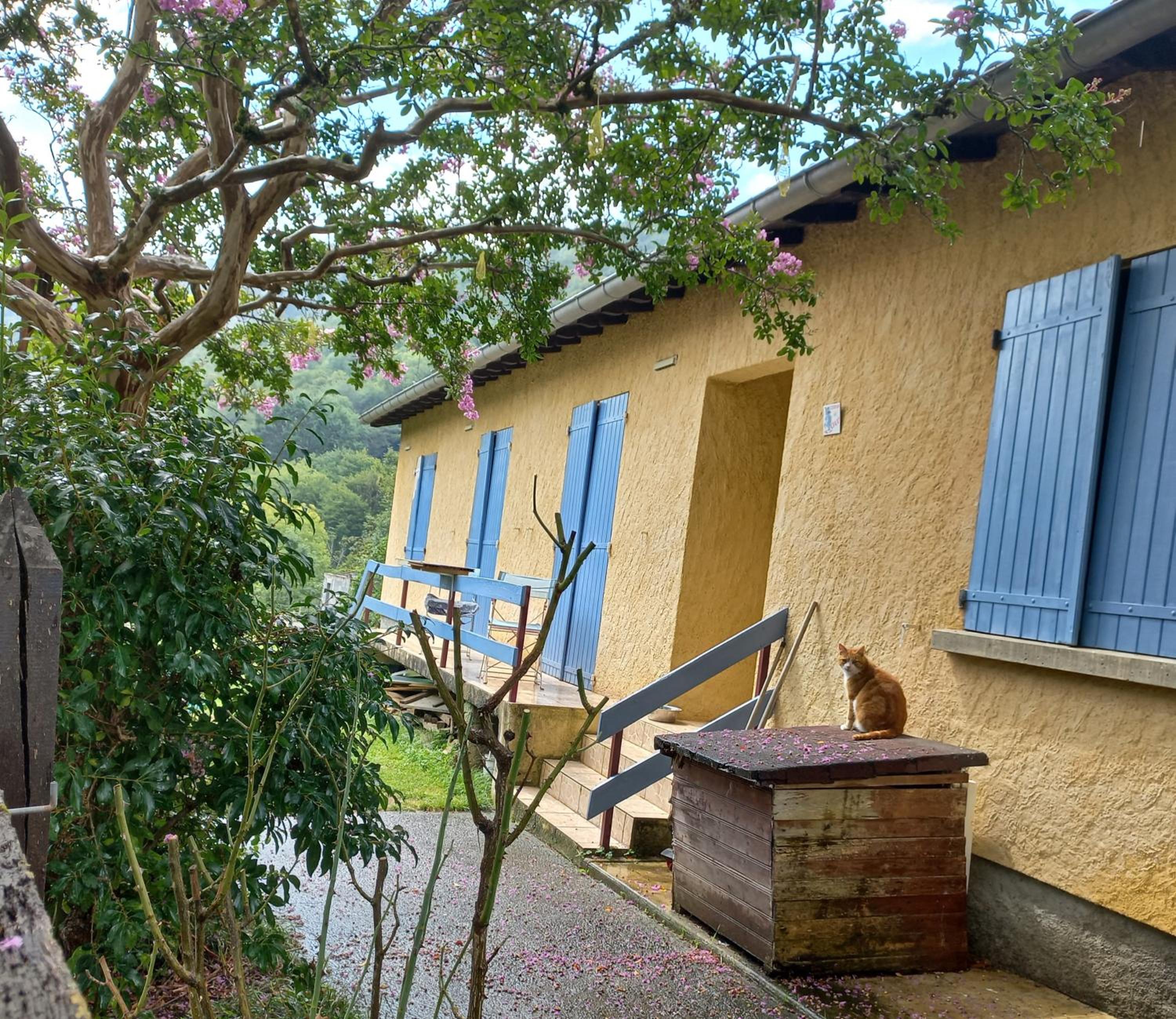 Chambre spatieuse avec grand lit. view 3