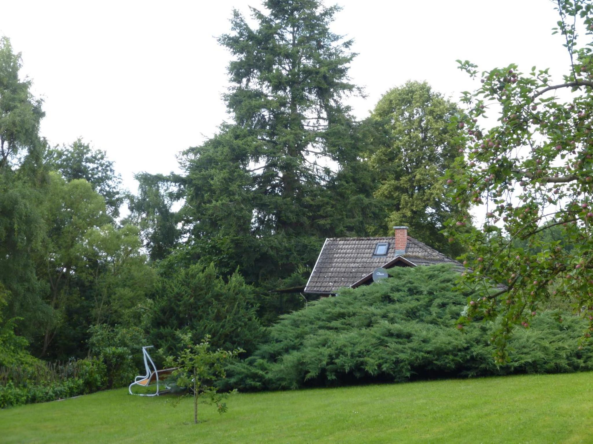 Hasenecke