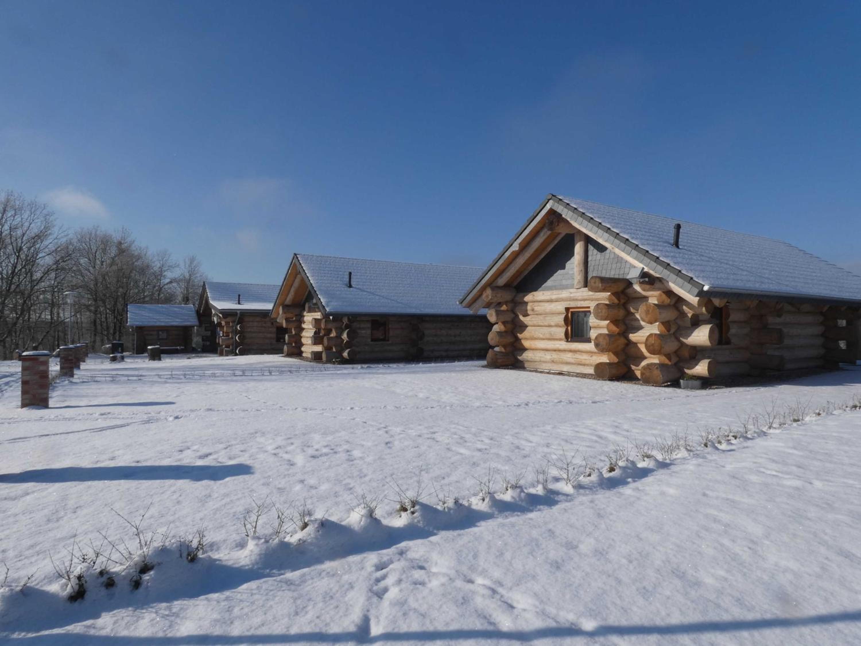 Naturstammhaus Tollensesee
