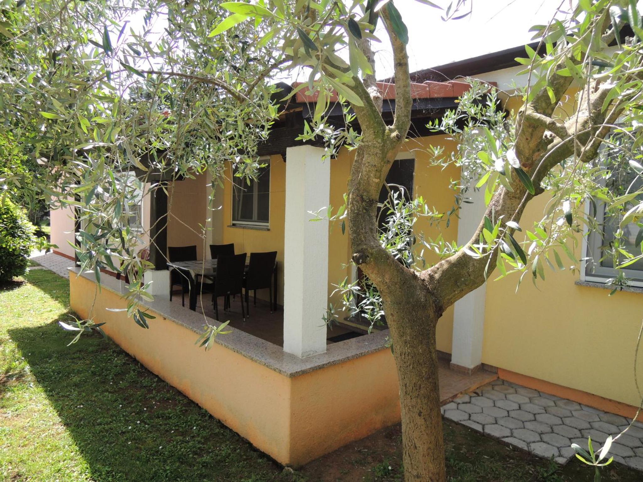 Lavanda 3 view 2