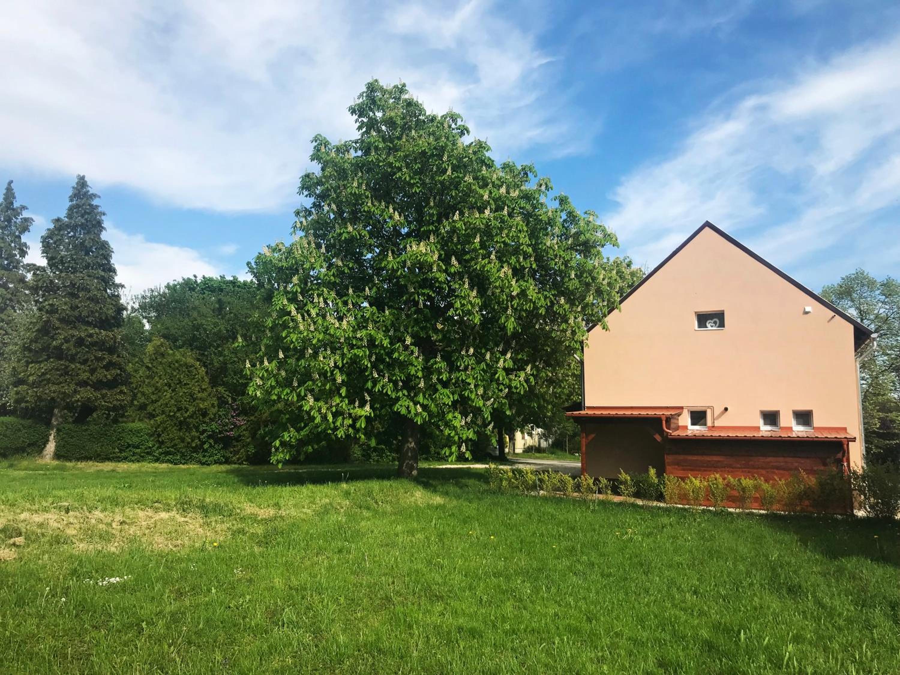 Prána Apartman view 2