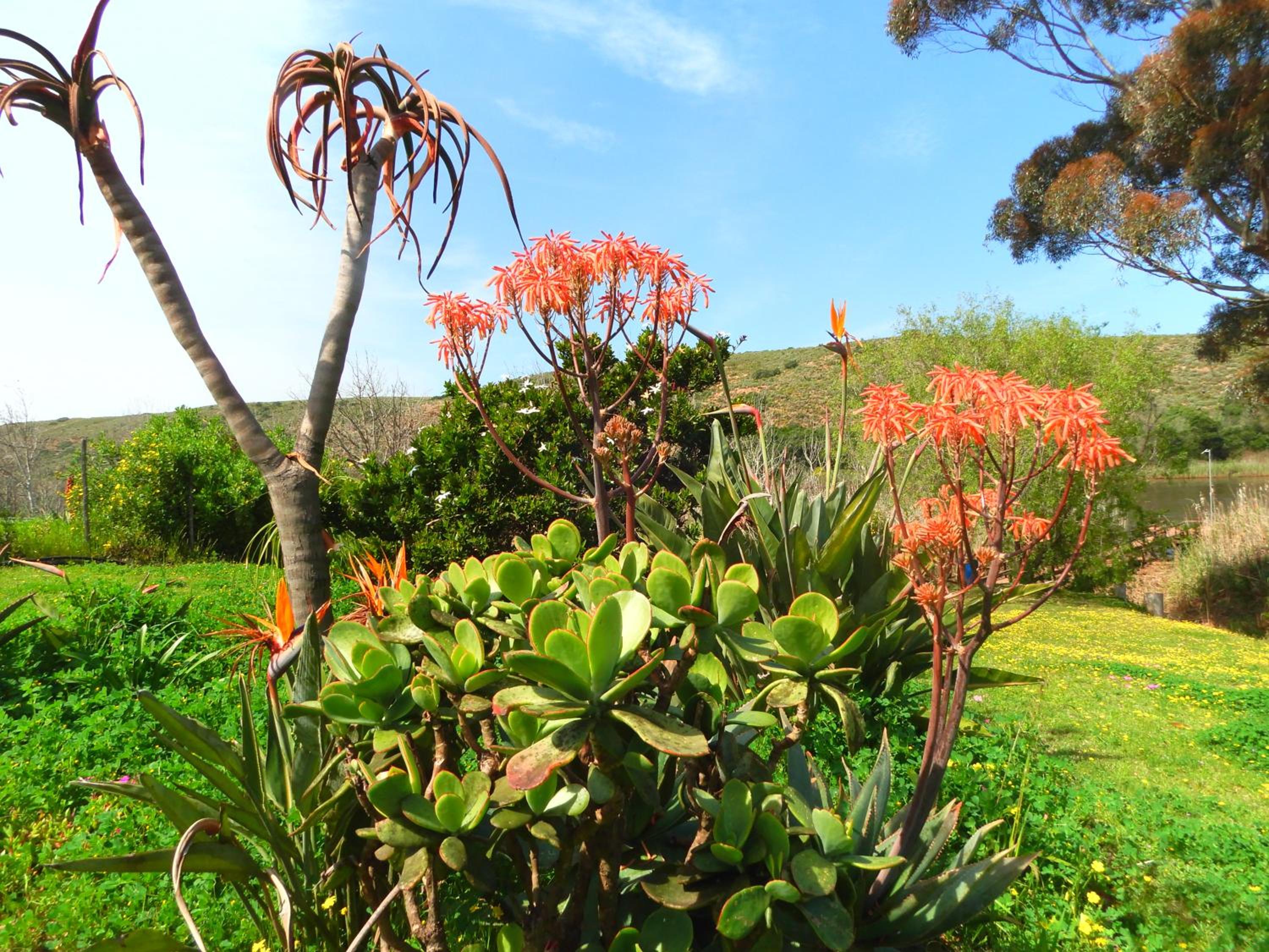 Ashanti House - Living The Breede view 3