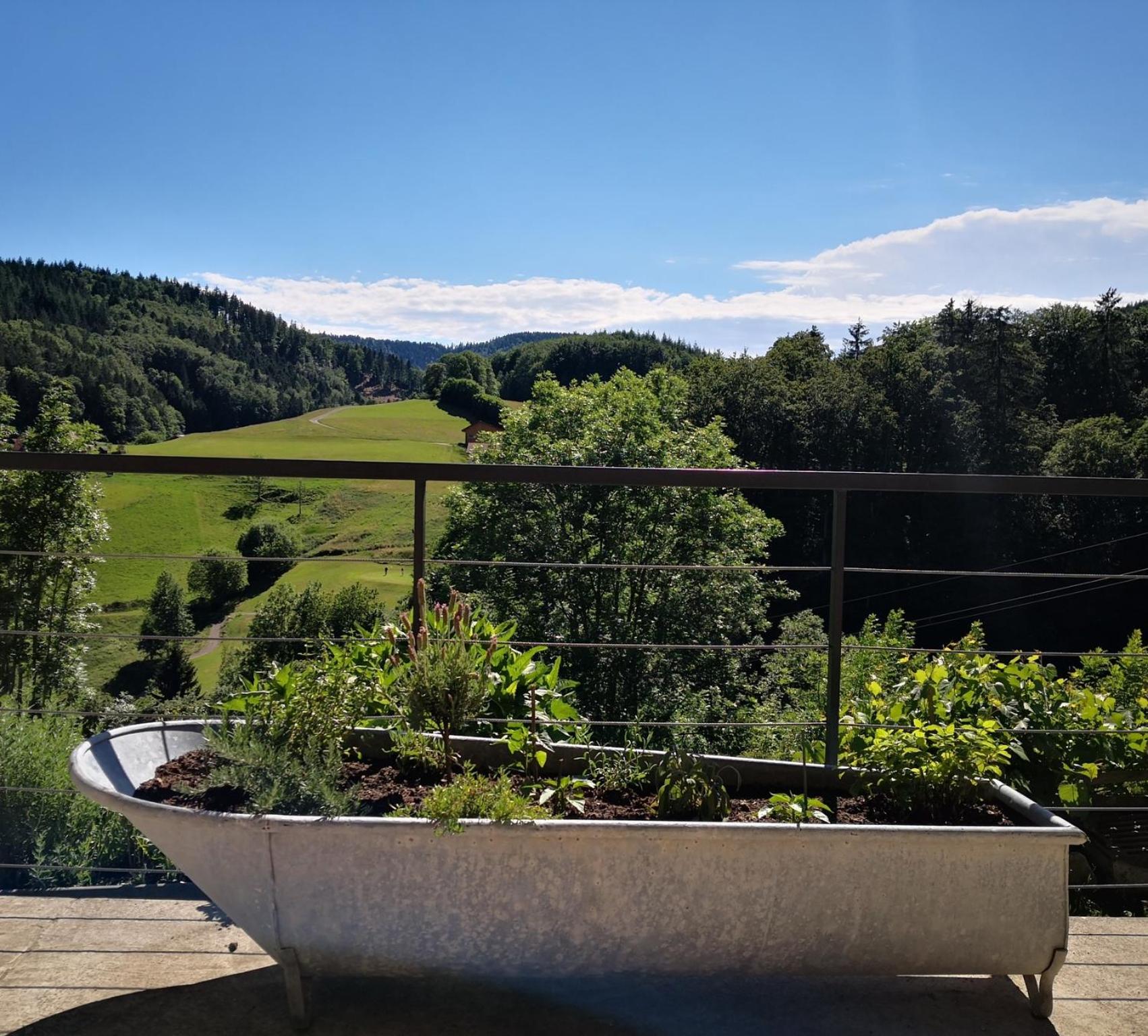 Ferienwohnung Belchenliebe view 3