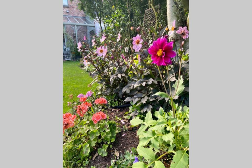 Photo 29