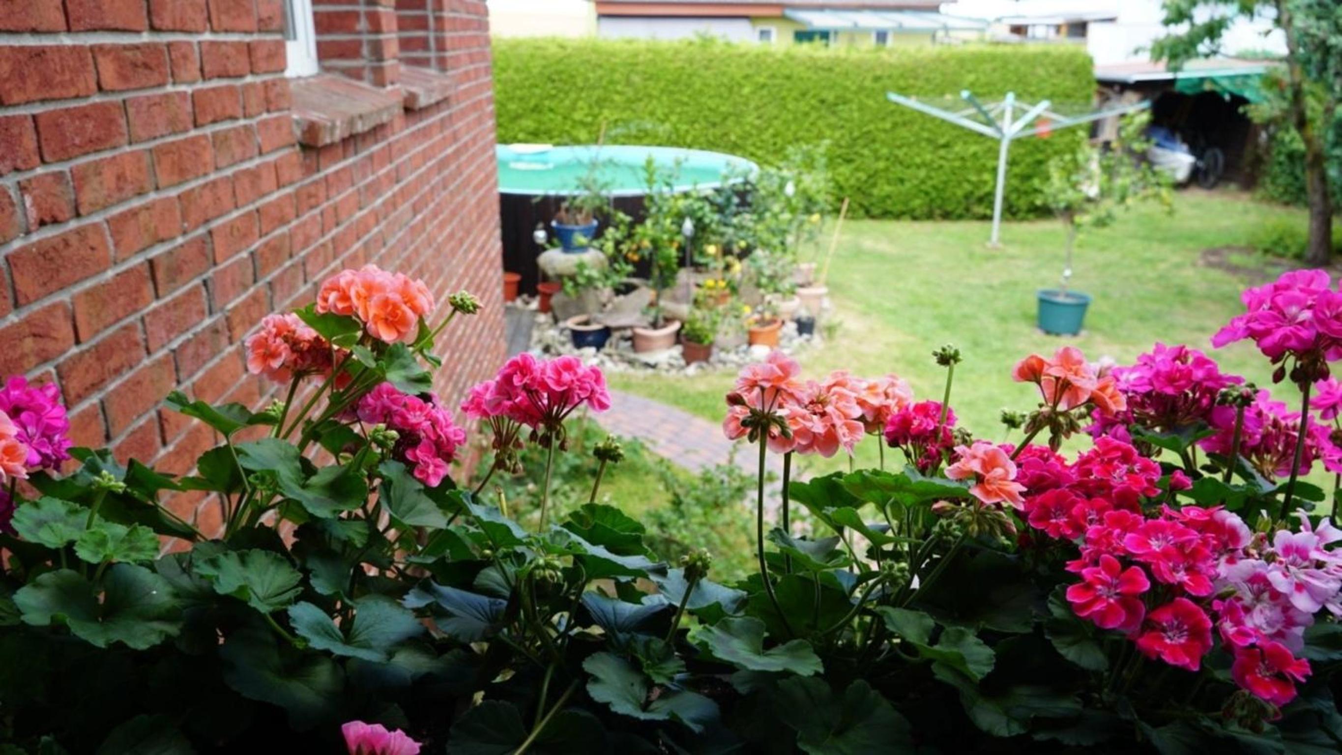 Pension Limone Ferienwohnung 2
