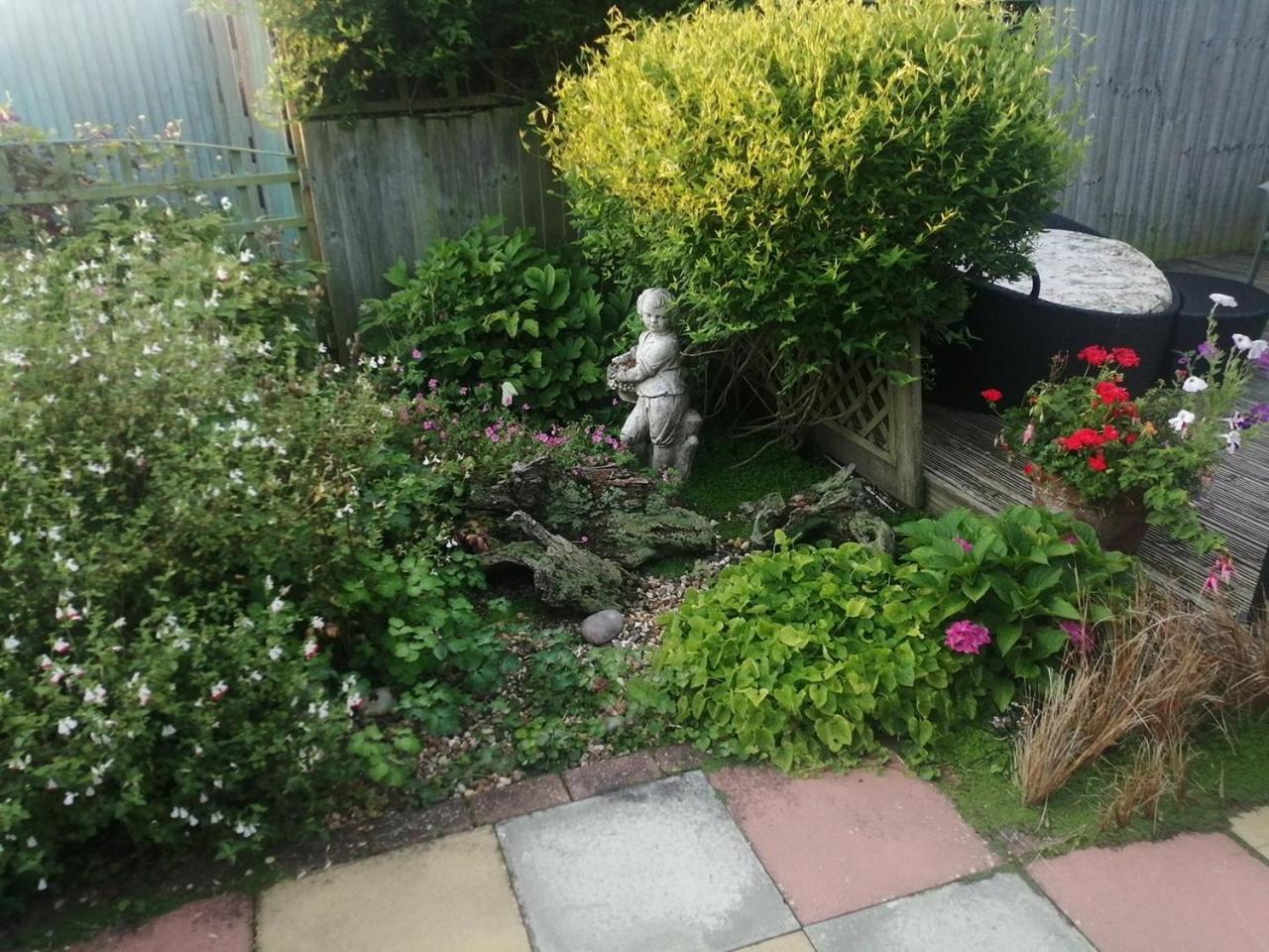 Photo 15