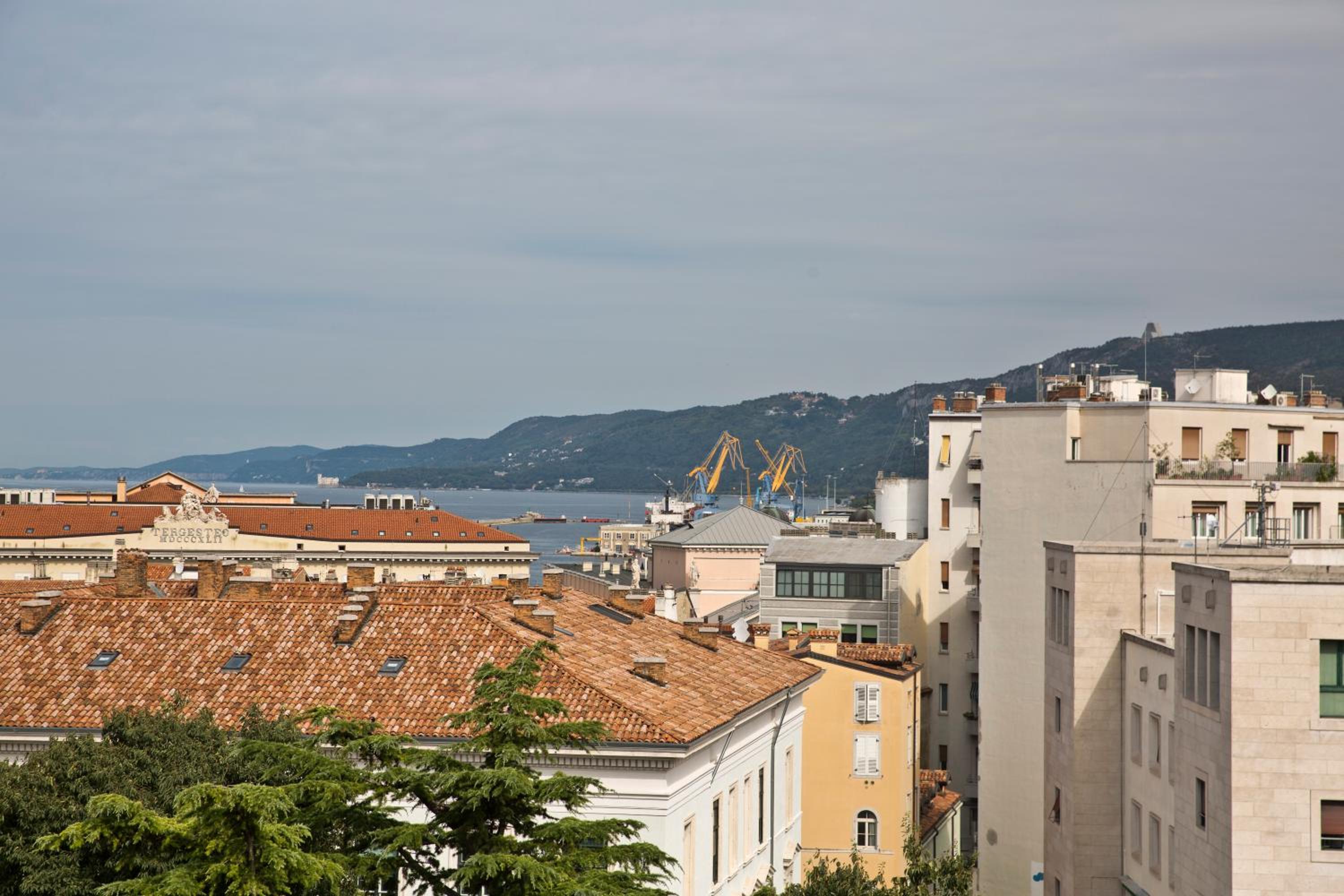 La Donota view 5