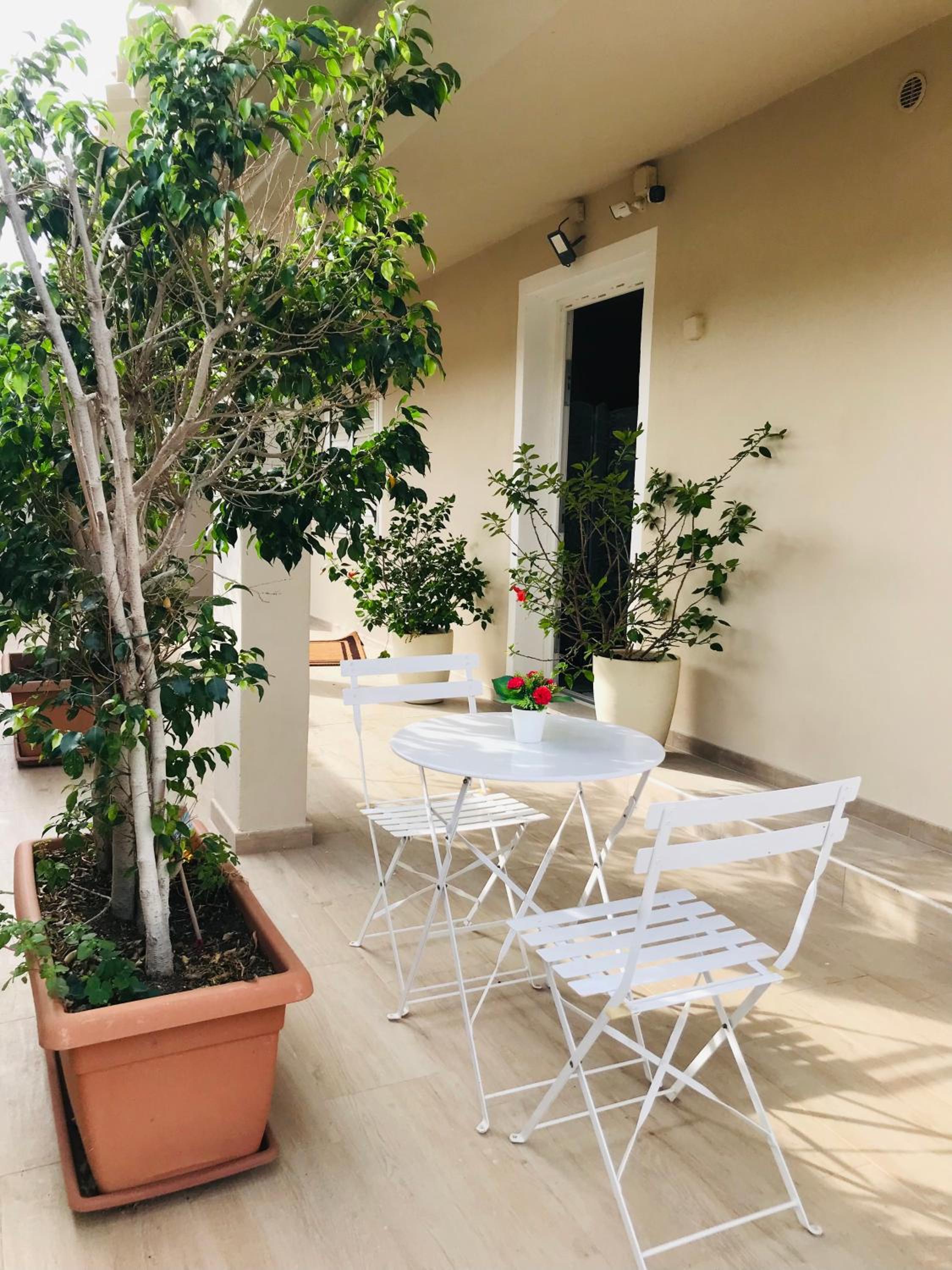 balance & terrace