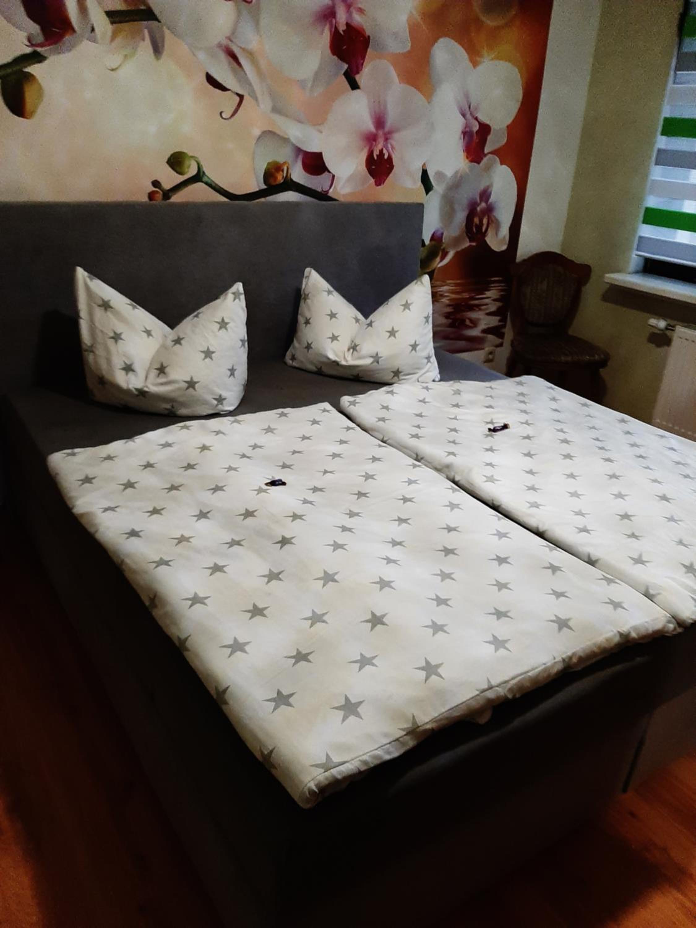 Ferienwohnung Katzschner