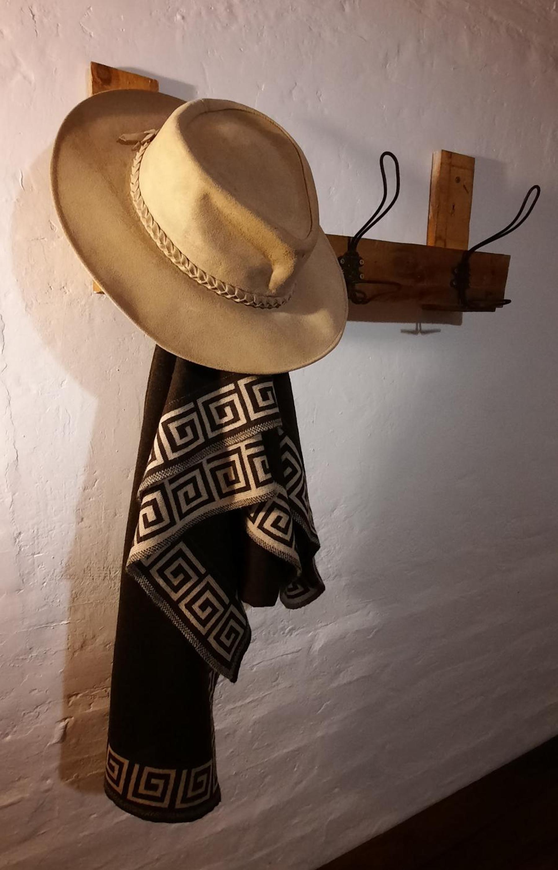 Aire de Barreal Hostel Andino