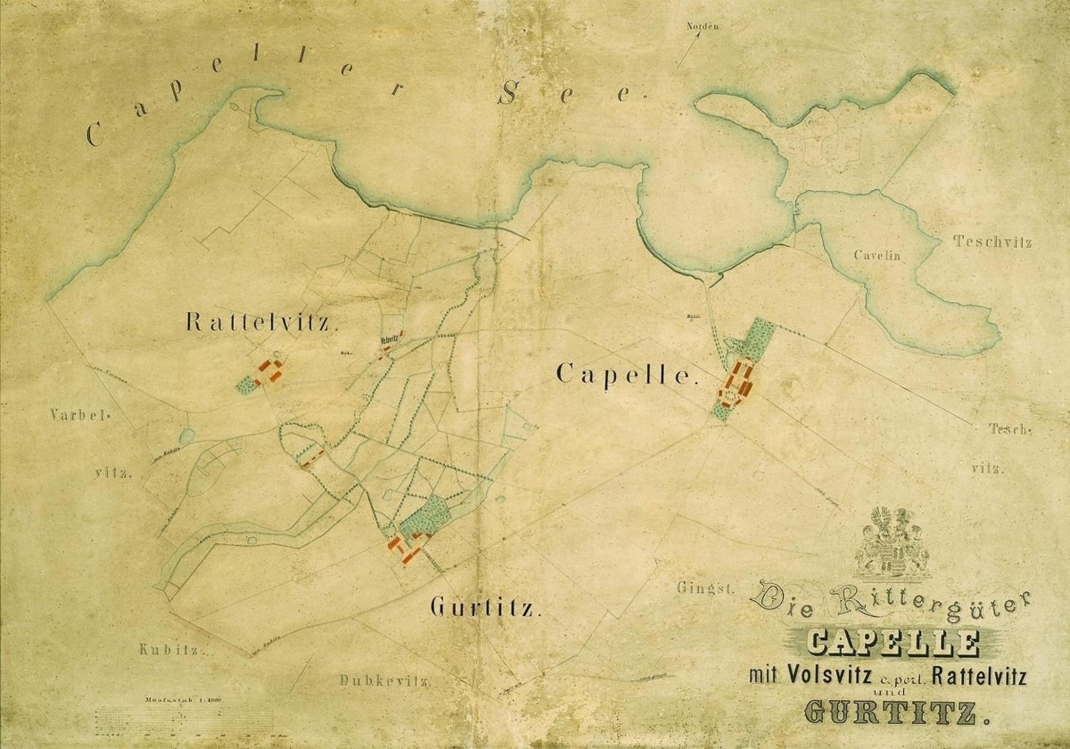 Galerie D OST