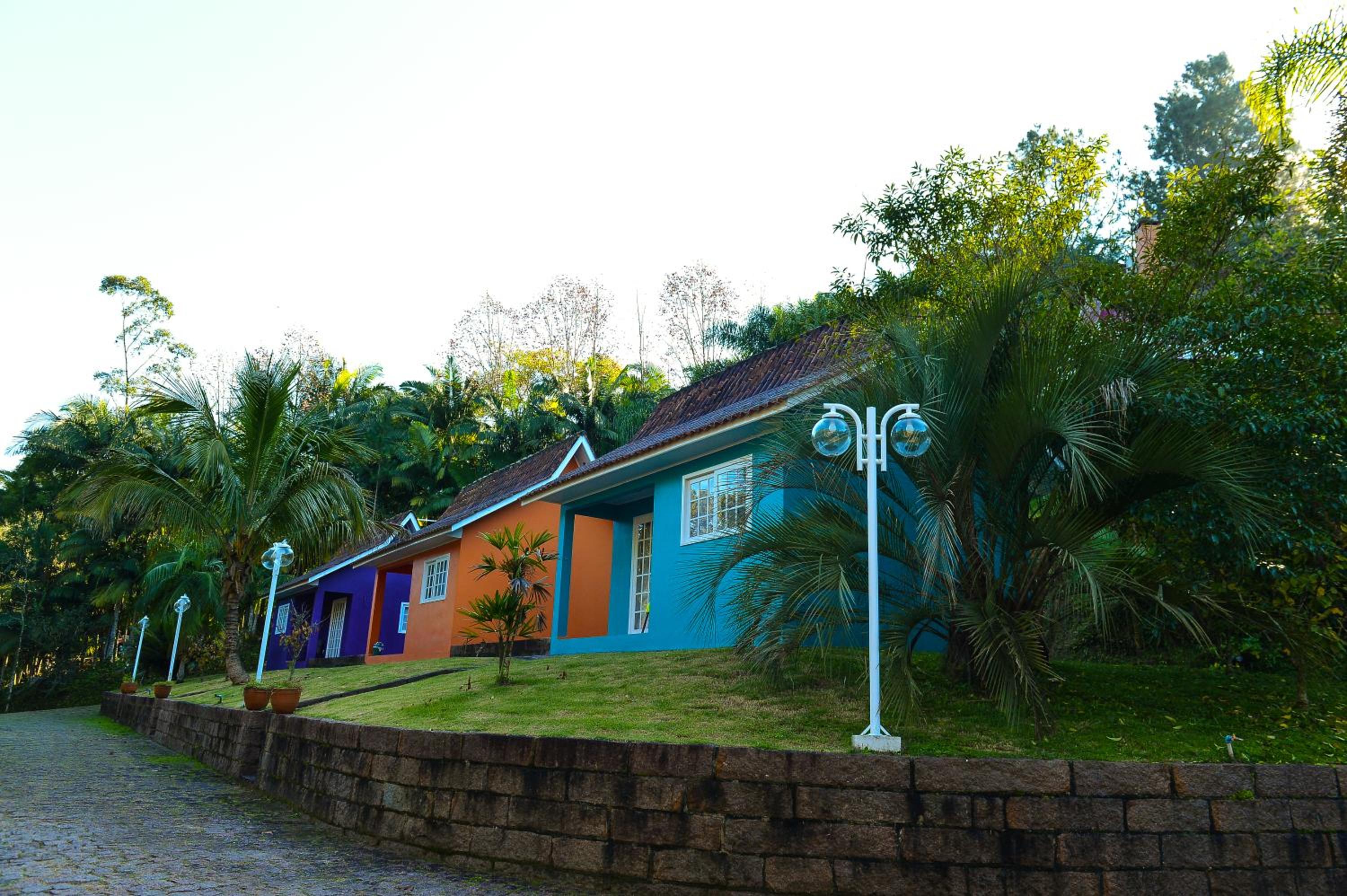 Photo 41