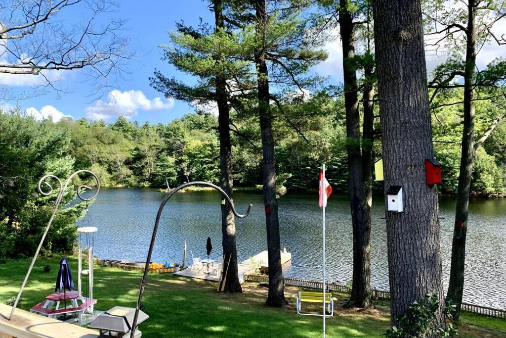 Waterfront 3-bedroom cottage with great view