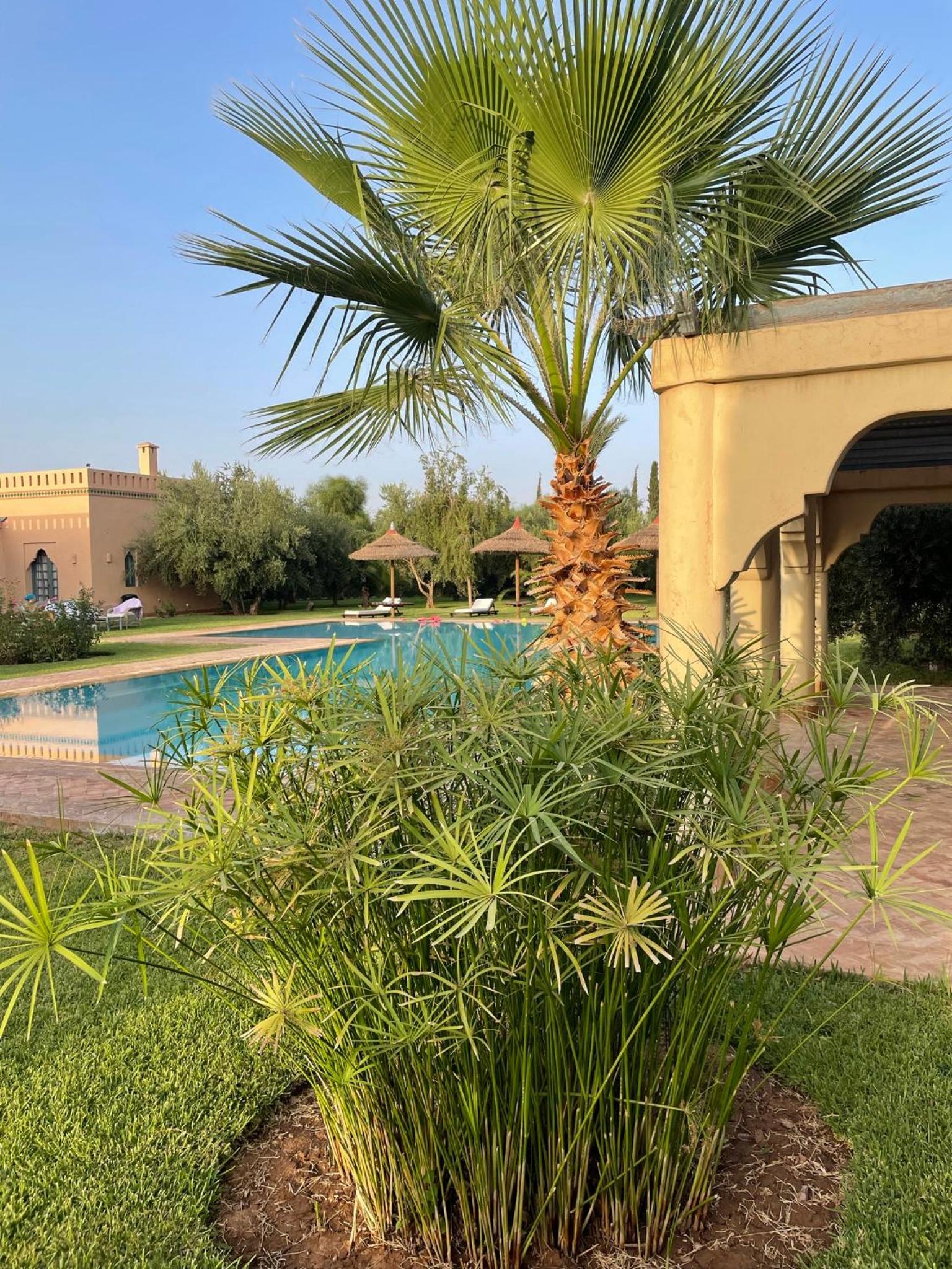 Privat Villa in Marrakesch with Pool & Garten view 5