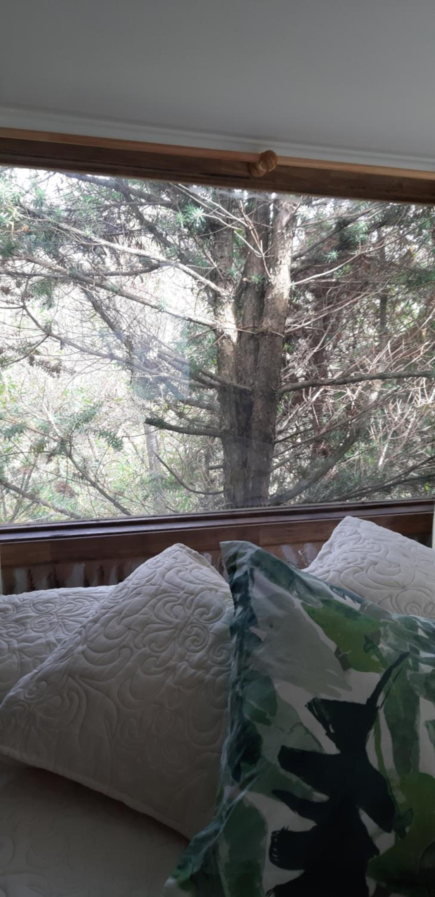 ECO CABAÑA