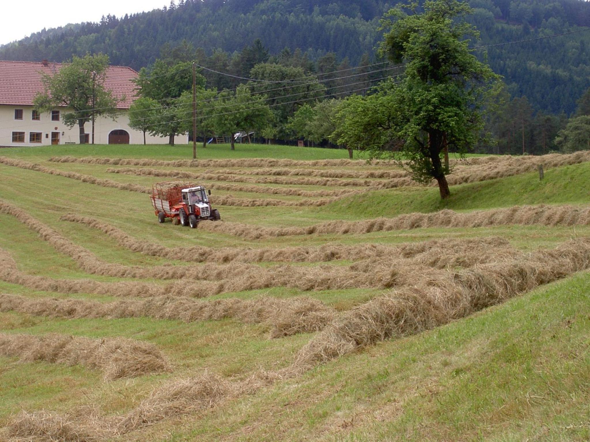 Urlaub am Bauernhof Wenigeder - Familie Klopf