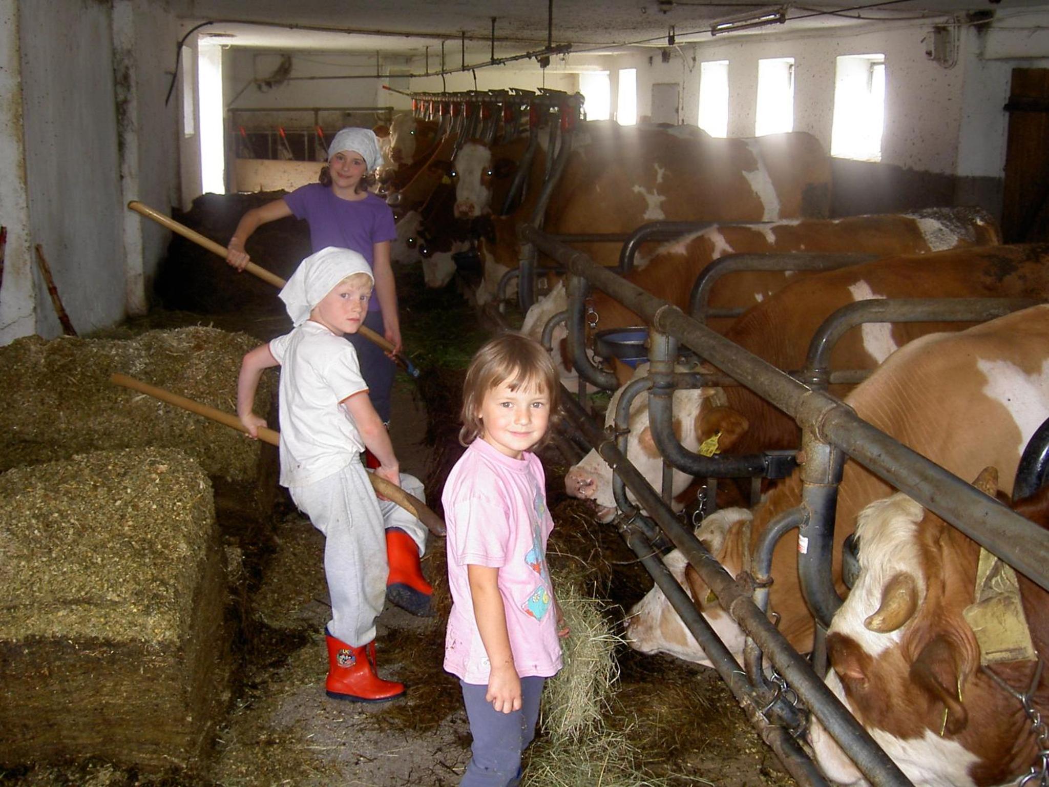 Urlaub am Bauernhof Wenigeder - Familie Klopf