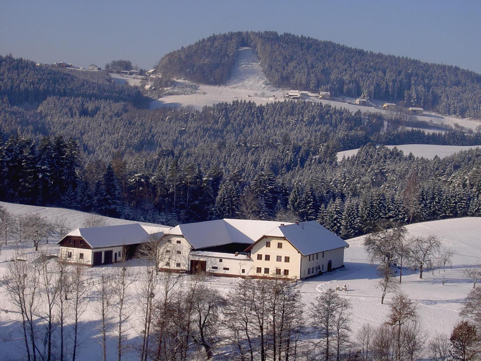 Urlaub am Bauernhof Wenigeder - Familie Klopf