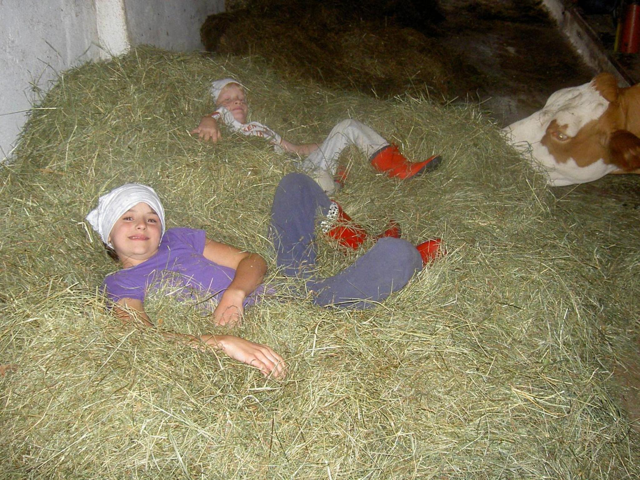 Urlaub am Bauernhof Wenigeder - Familie Klopf