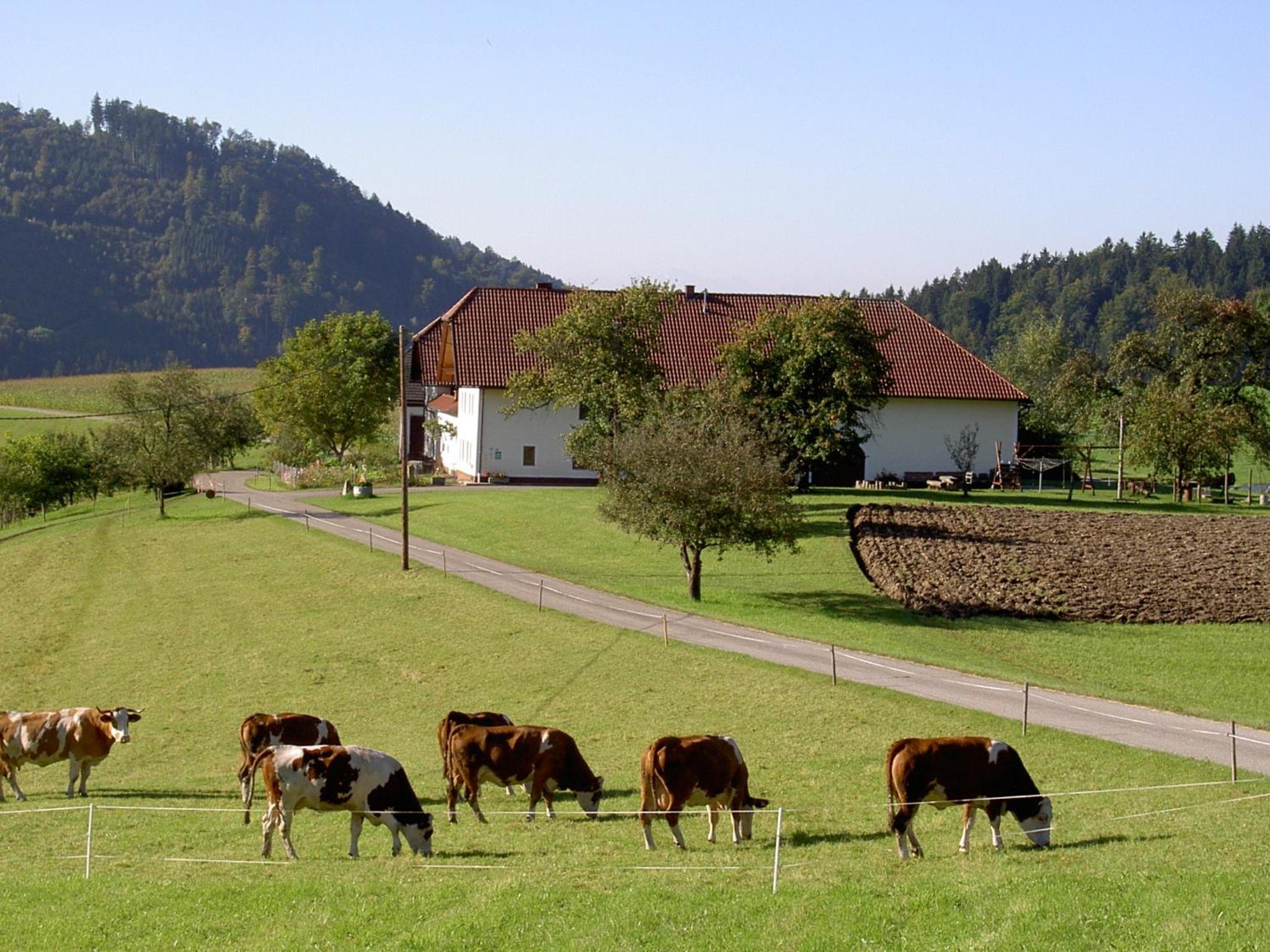 Urlaub am Bauernhof Wenigeder - Familie Klopf