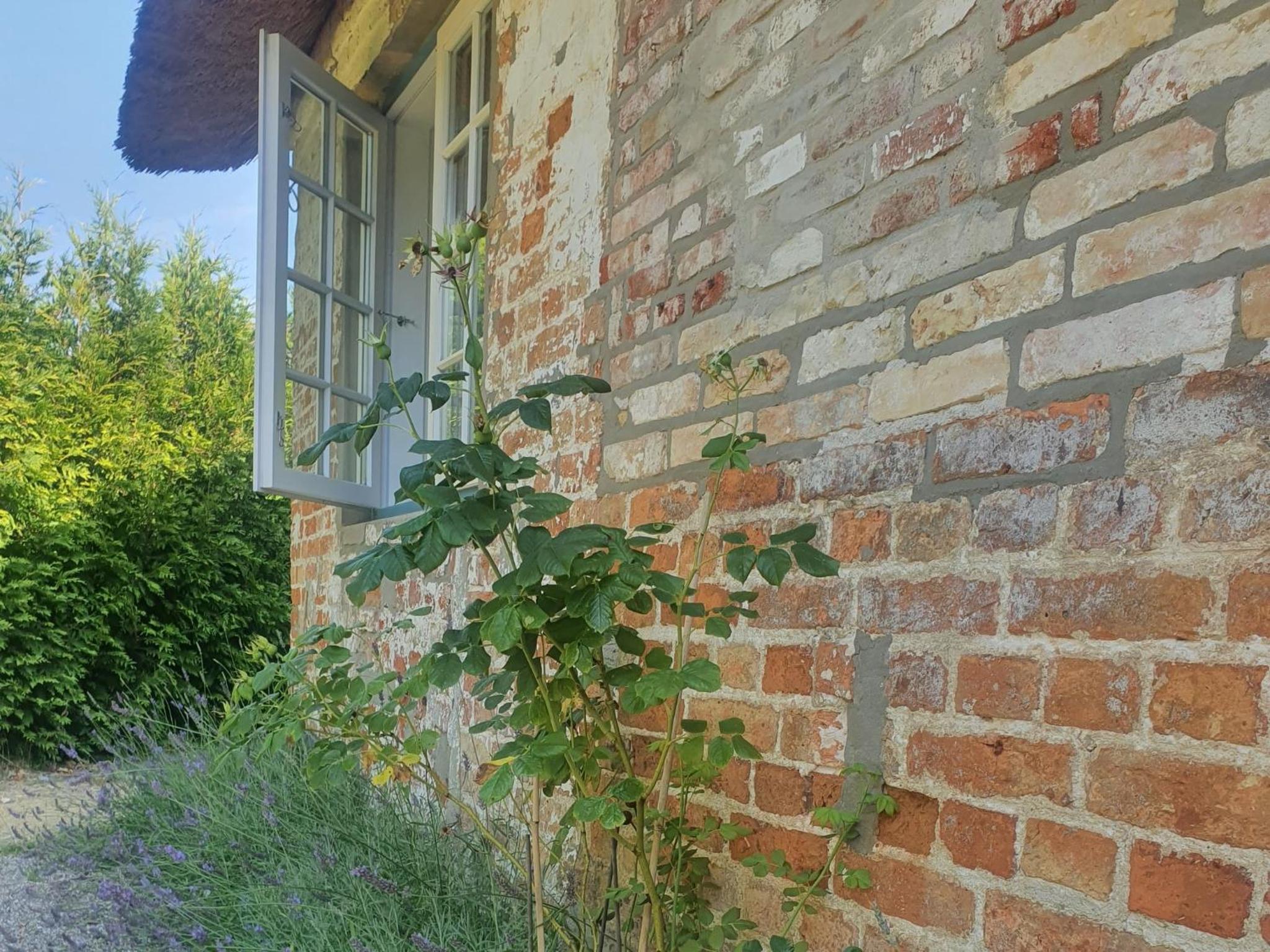 Paulsen Häuschen - Schloss Gelting