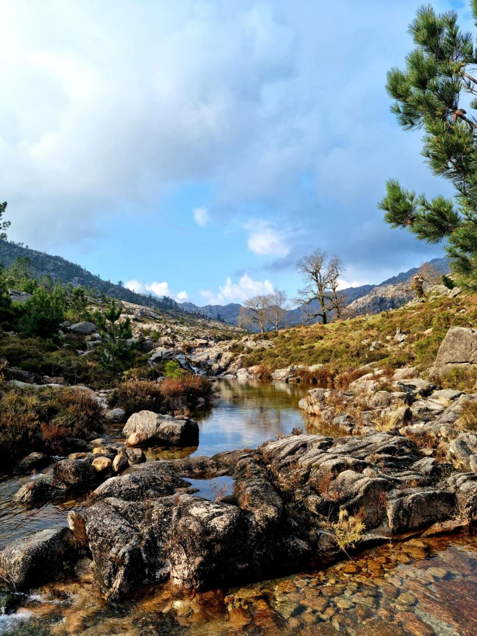 D'Oliva Gerês - River Side Houses view 4