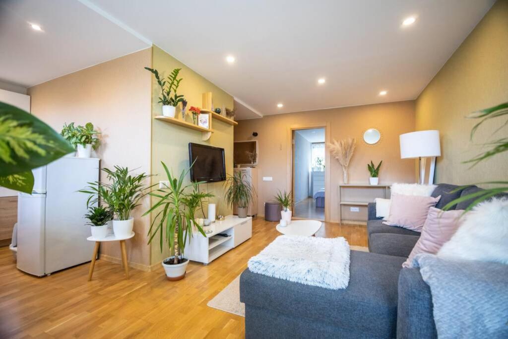 Beautiful & spacious apartment in Valmiera view 5