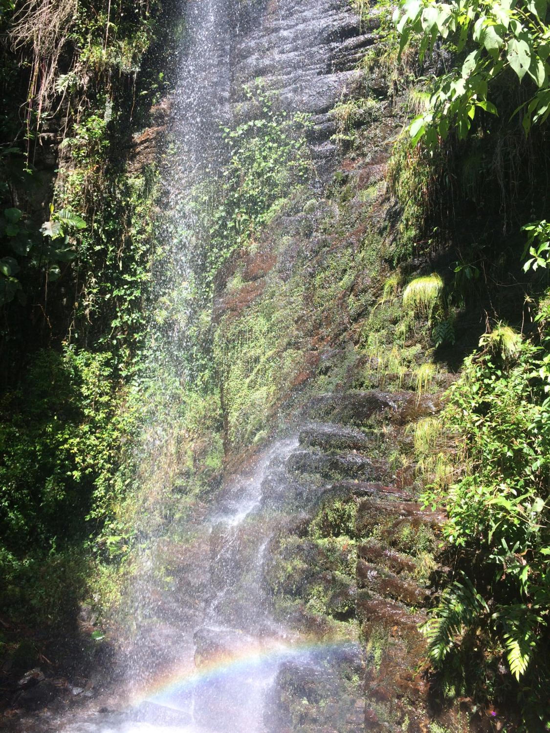 Pousada Fazenda do Mel view 4