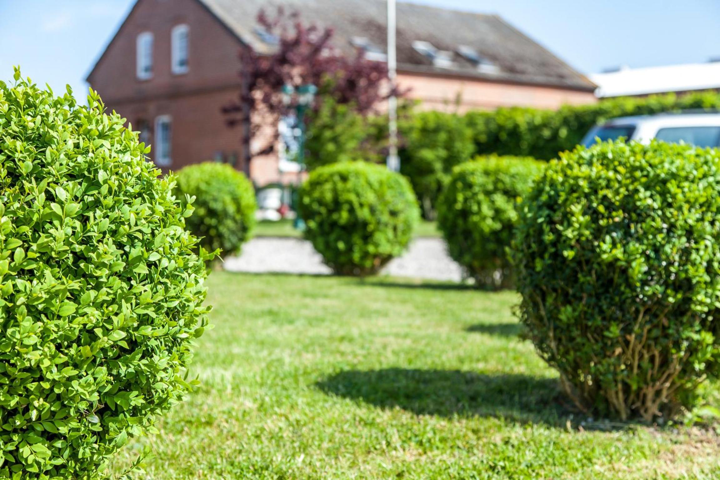 other