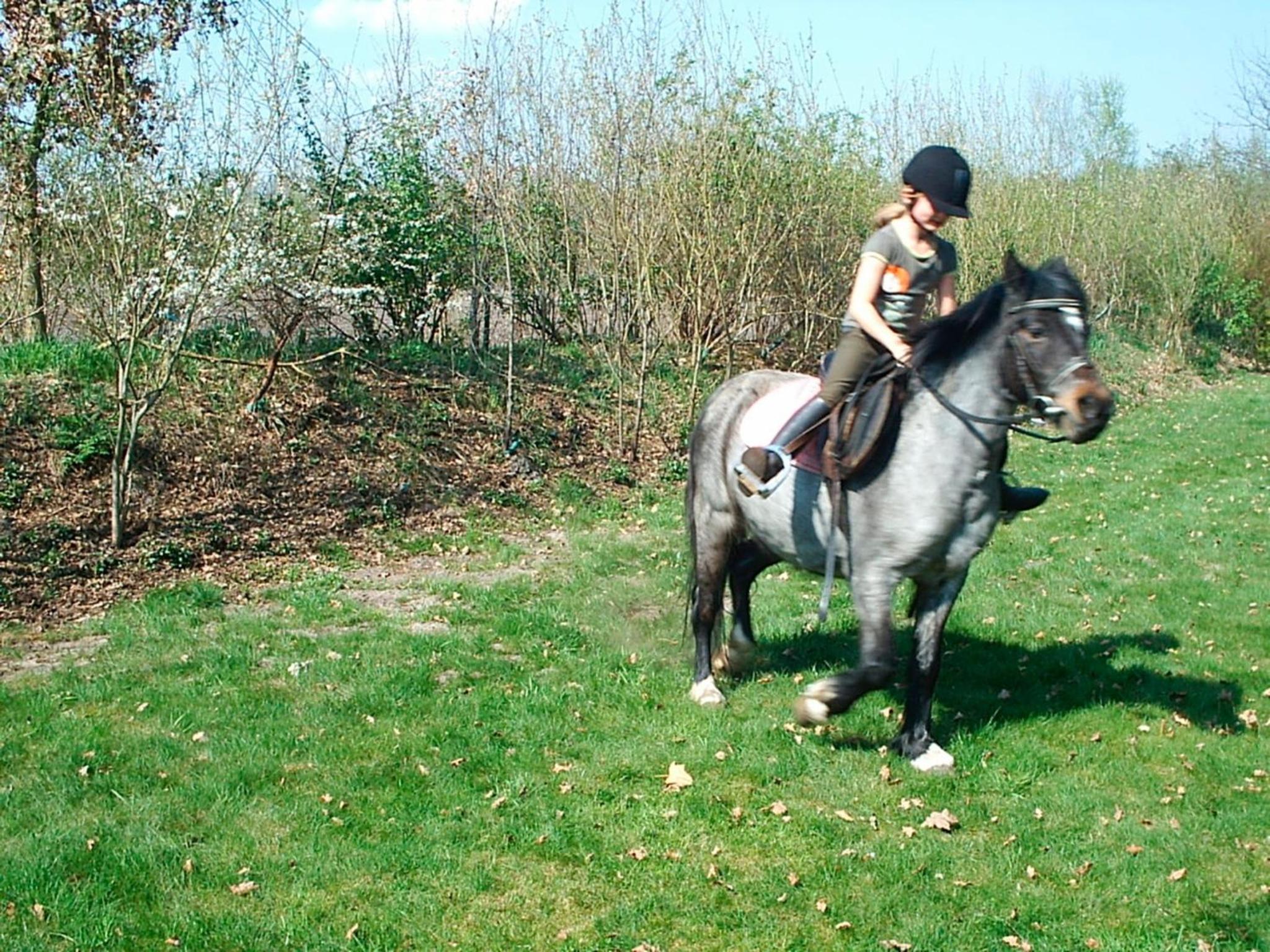 Photo 14