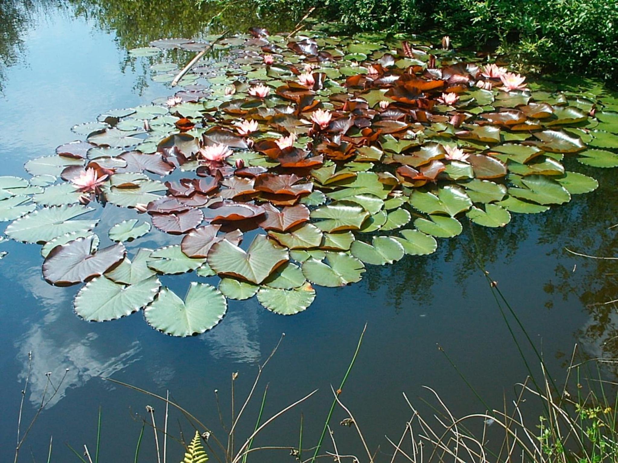 Photo 20