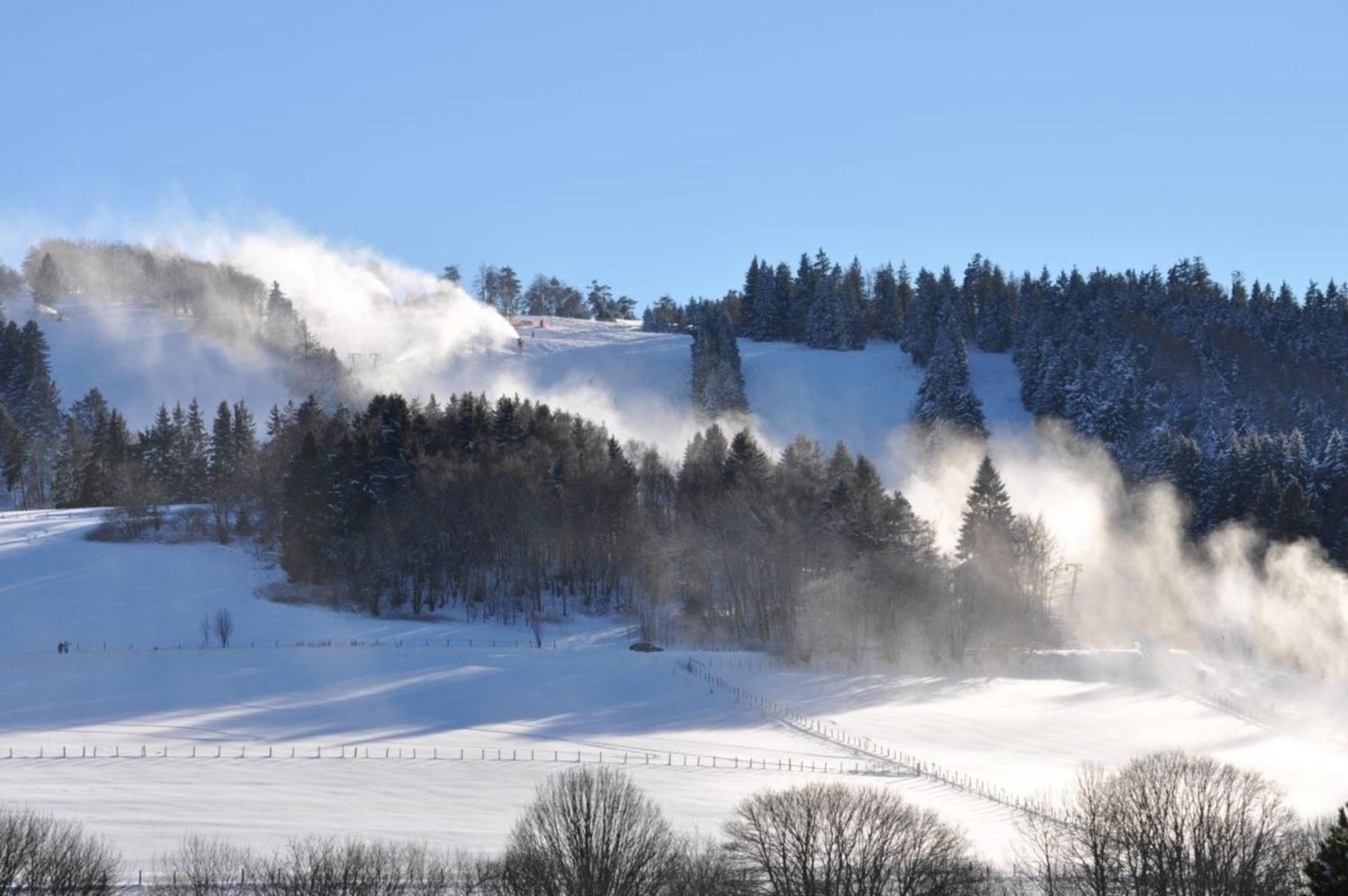 die Feine view 5