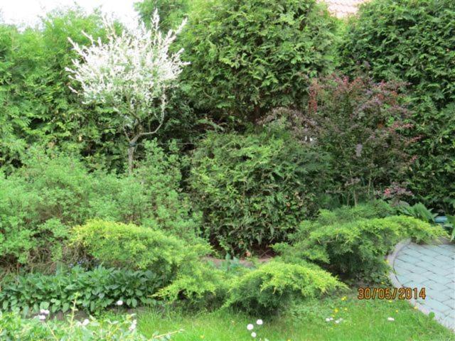 Photo 56