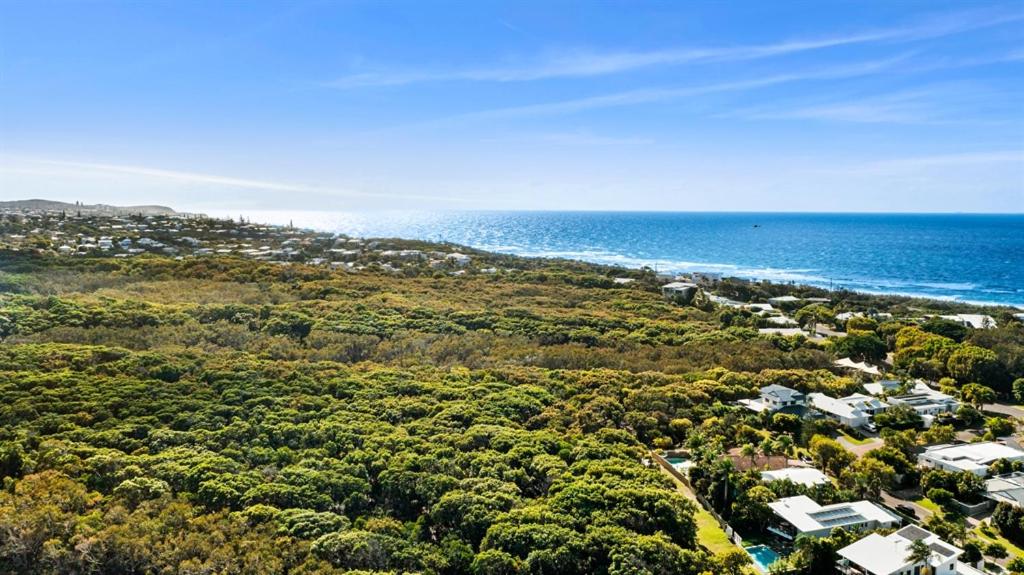 Peace within the palms, Castaways Beach