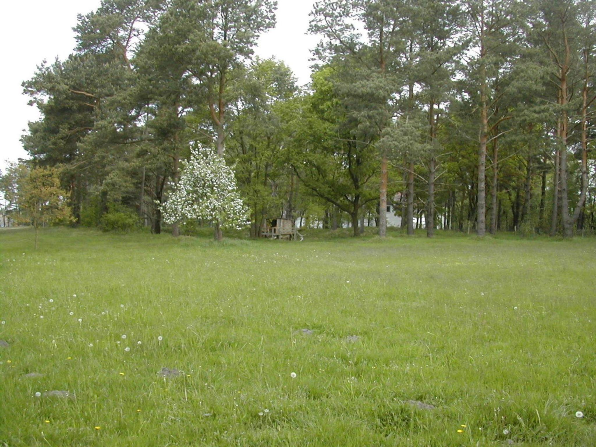 Haus Waldwiese