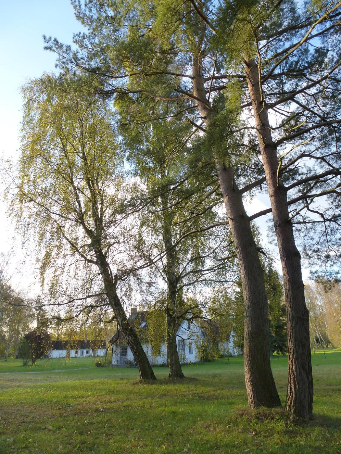 Haus Waldwiese