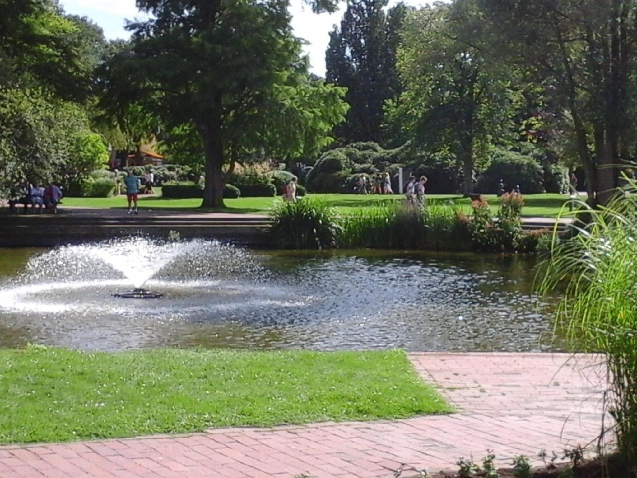 Photo 23