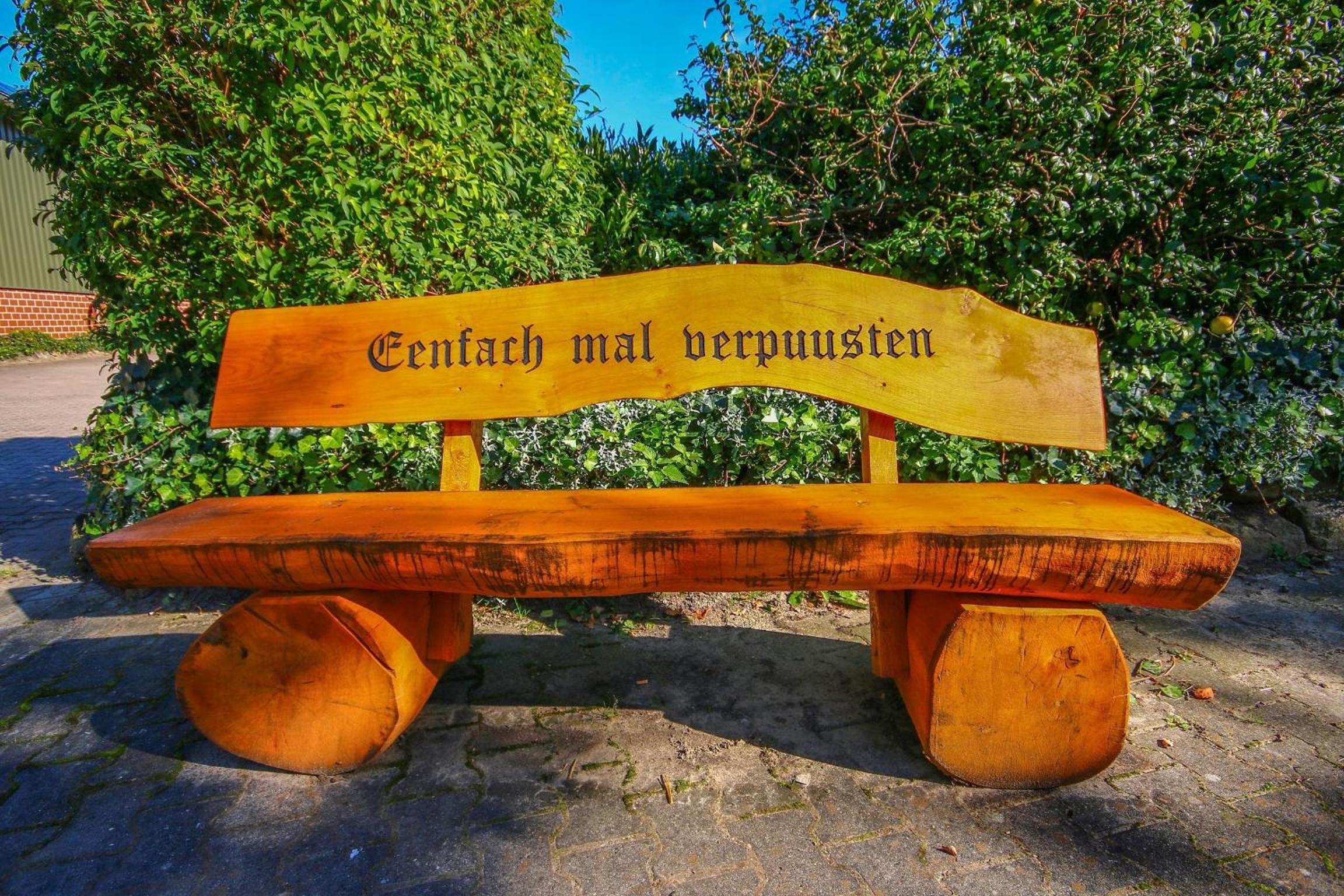 Familienhof Brüning - Rehblick
