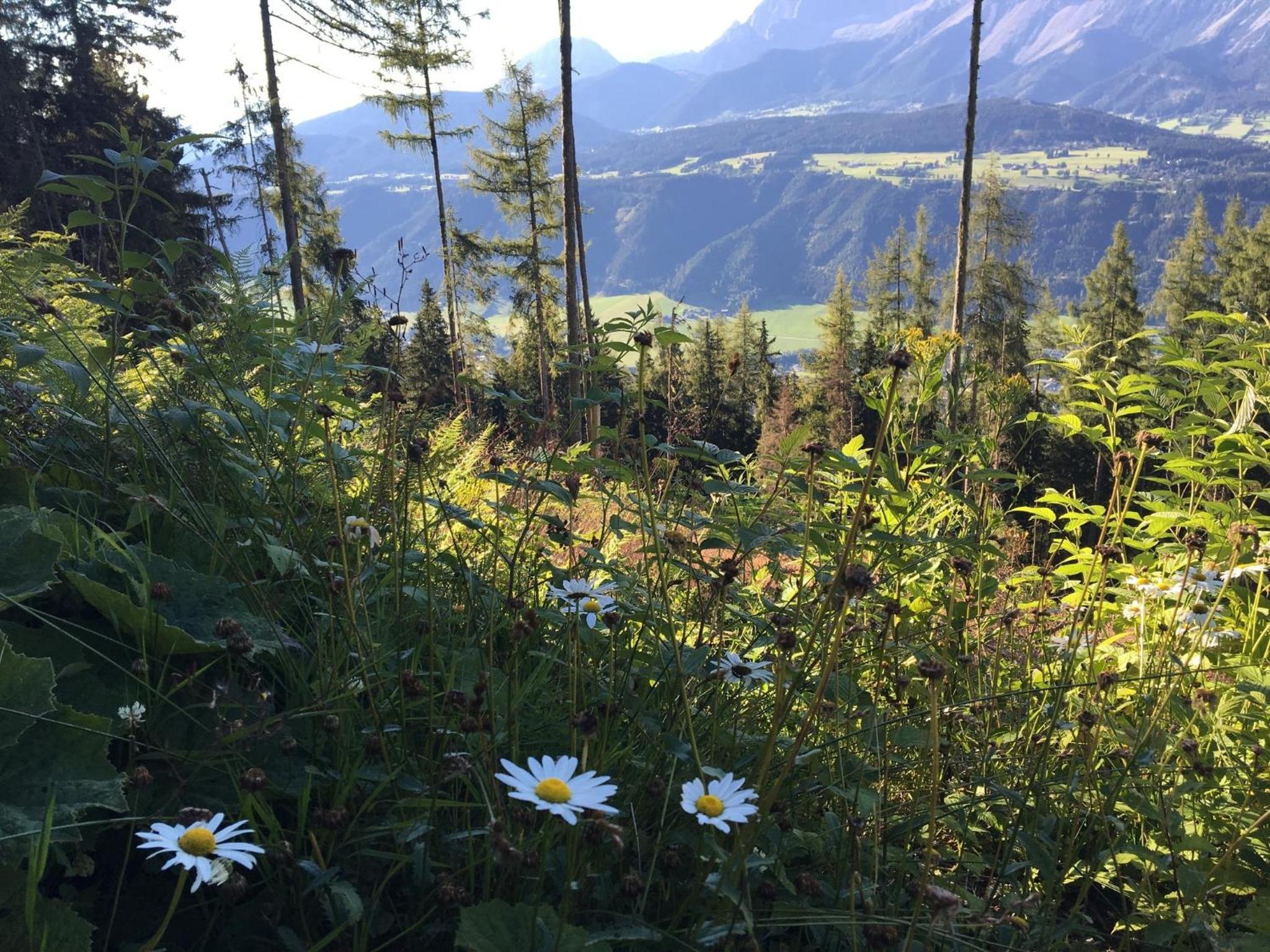 Ferienwohnung Schladming Planai Mitte view 5