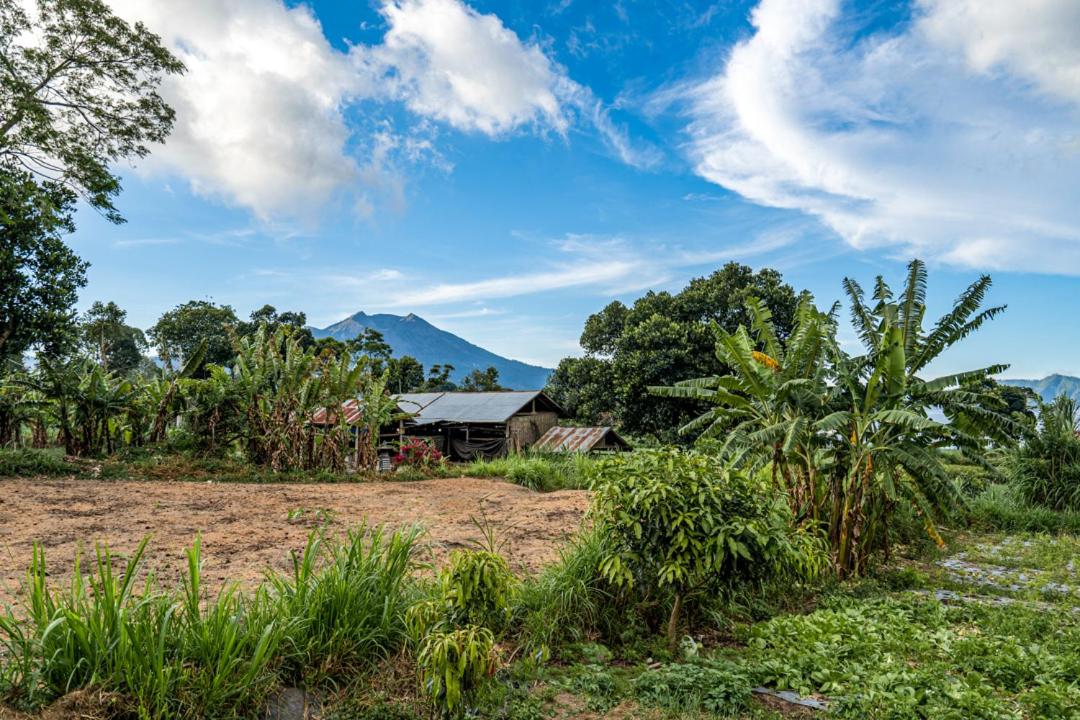 Pondok Manoka, 金塔马尼 - 23