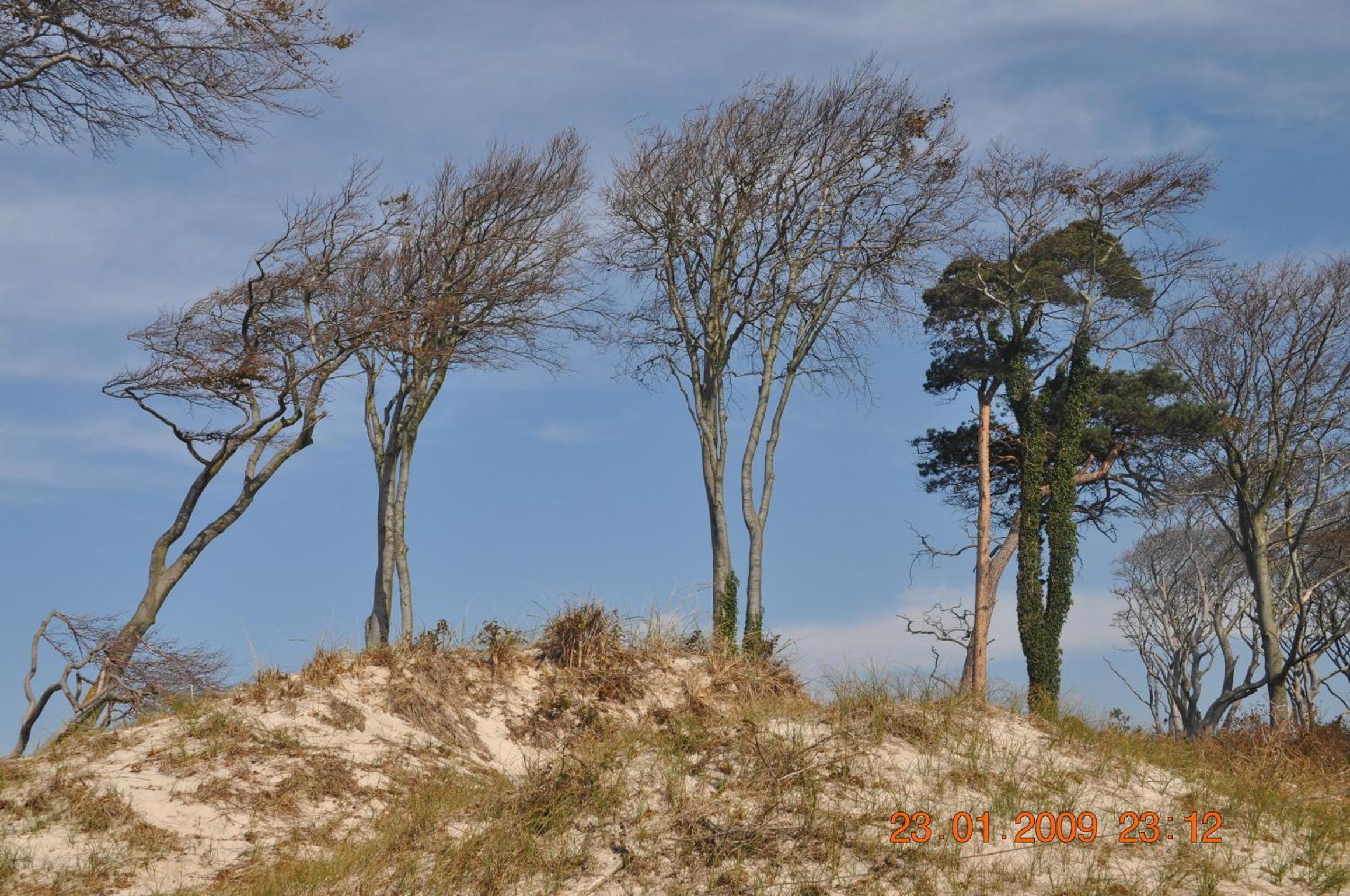 "Dierhagen" view 4