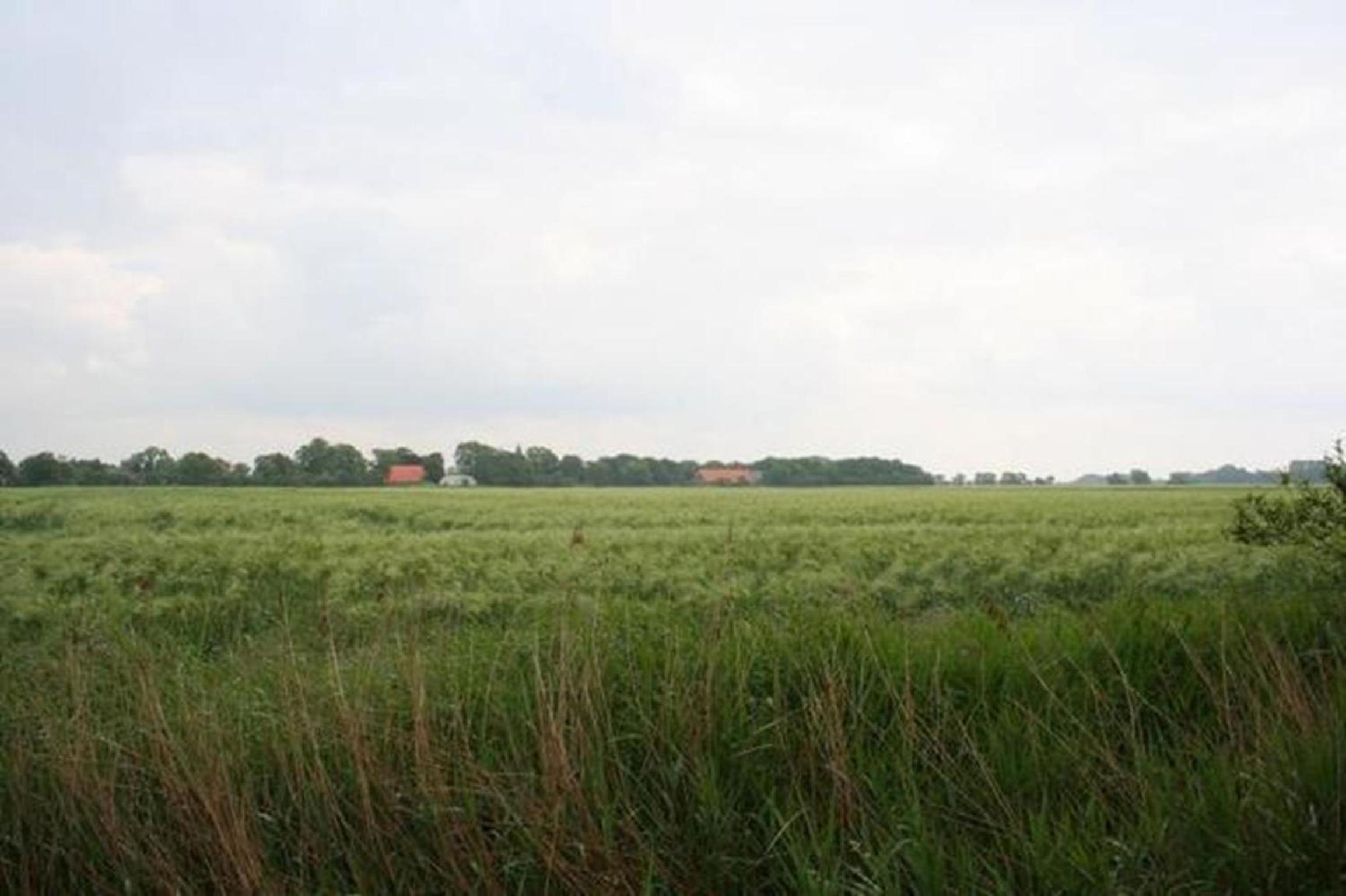 Ferienhaus 3370 in Tossens