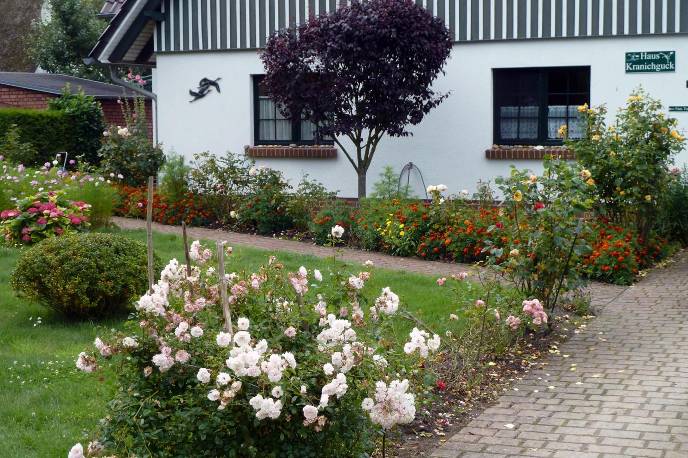 Kranichguck, App 2 en Zingst